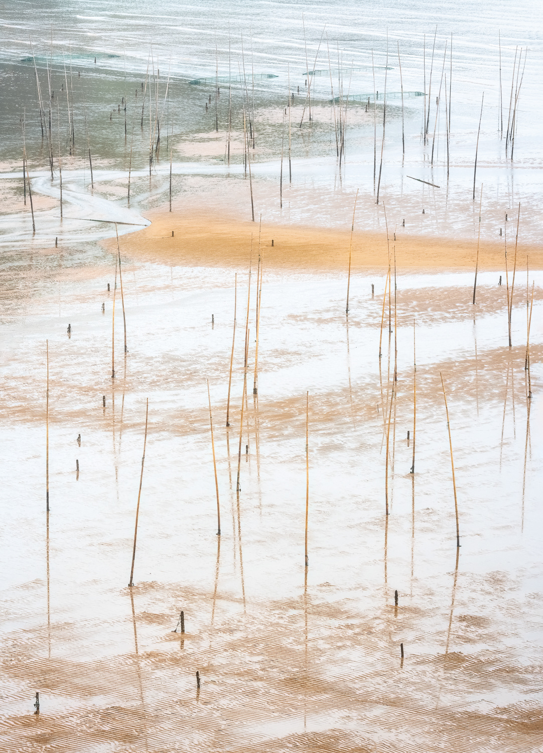 Transience