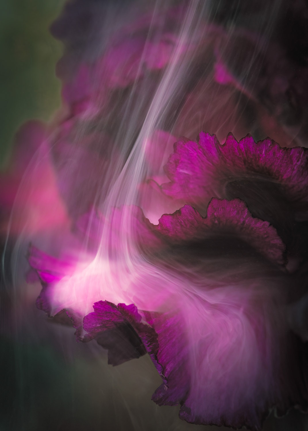 Magenta Flow 2