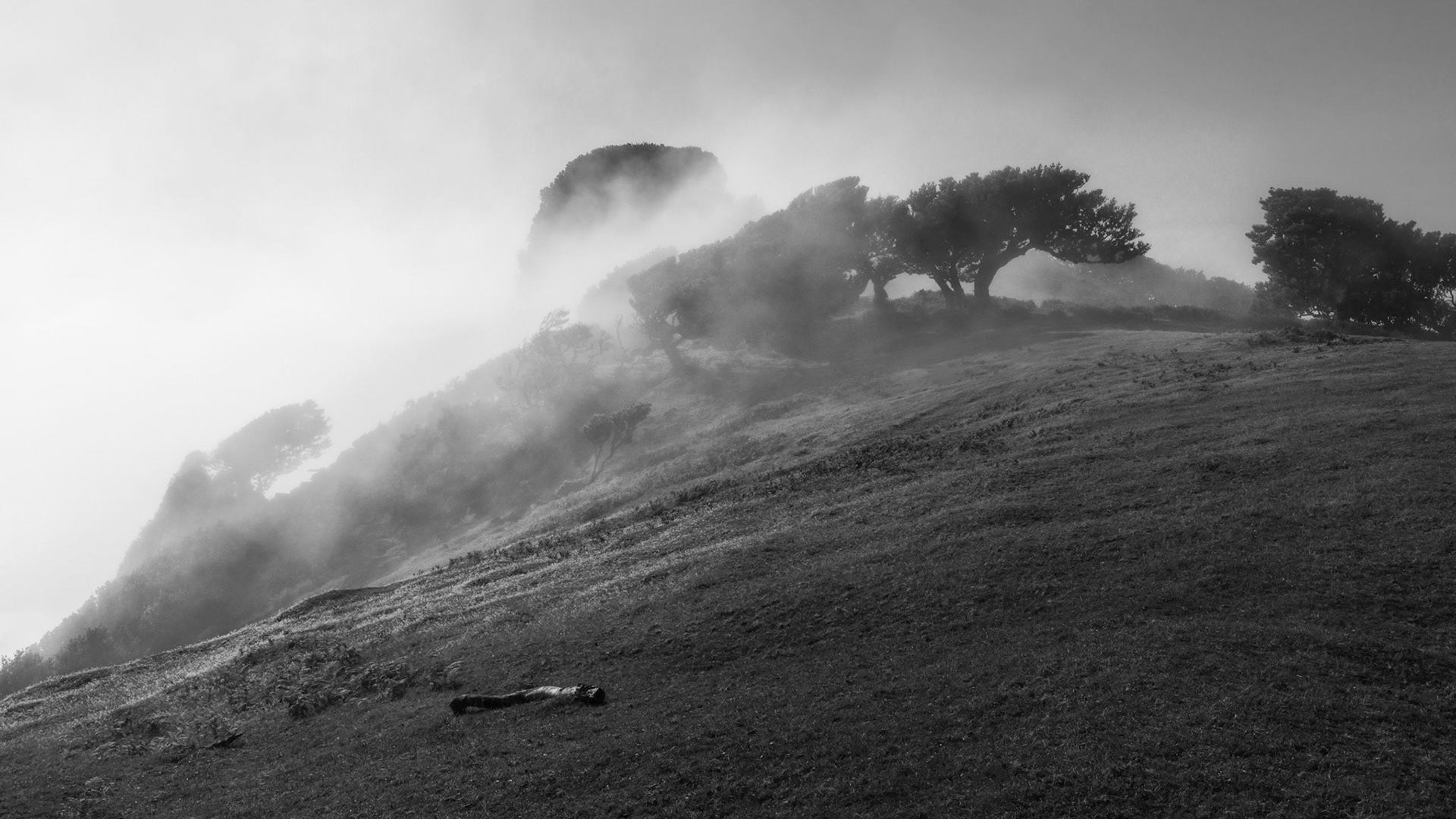 In the Clouds 1