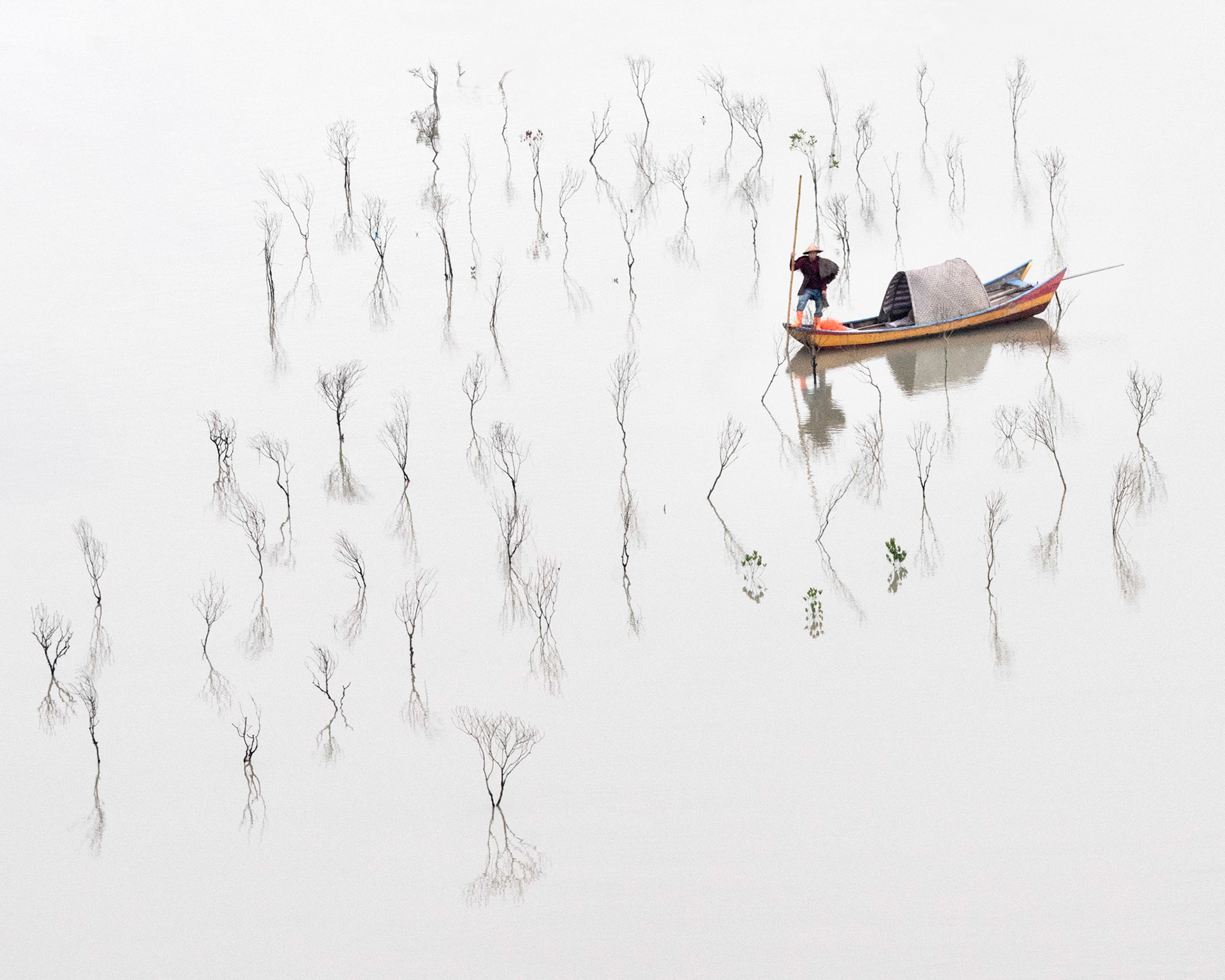In the Mangroves