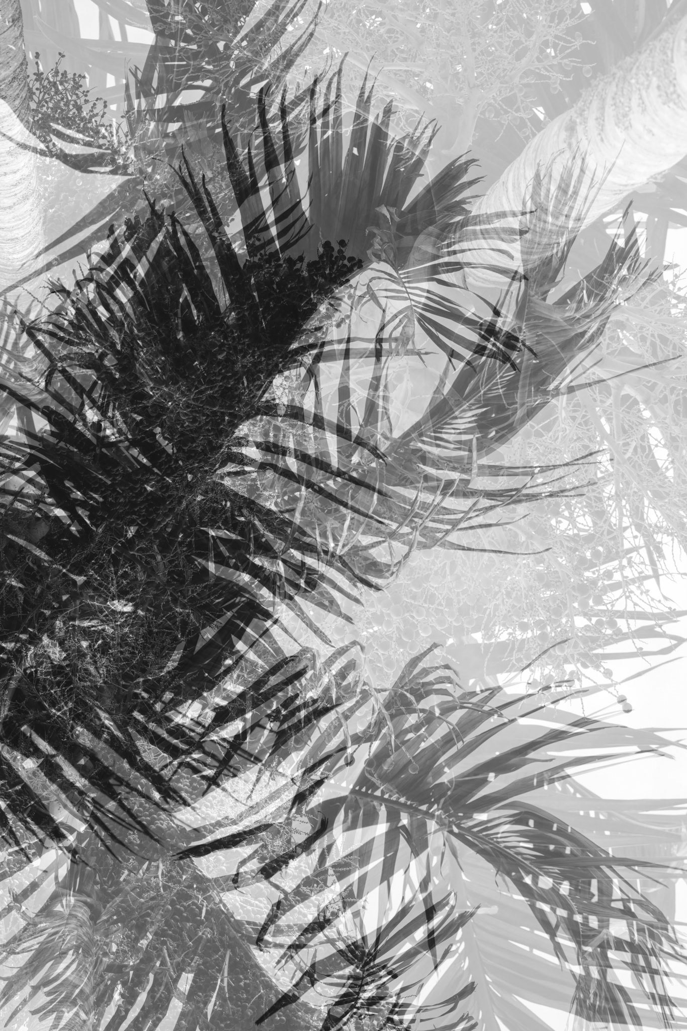 Tropical Storm - II