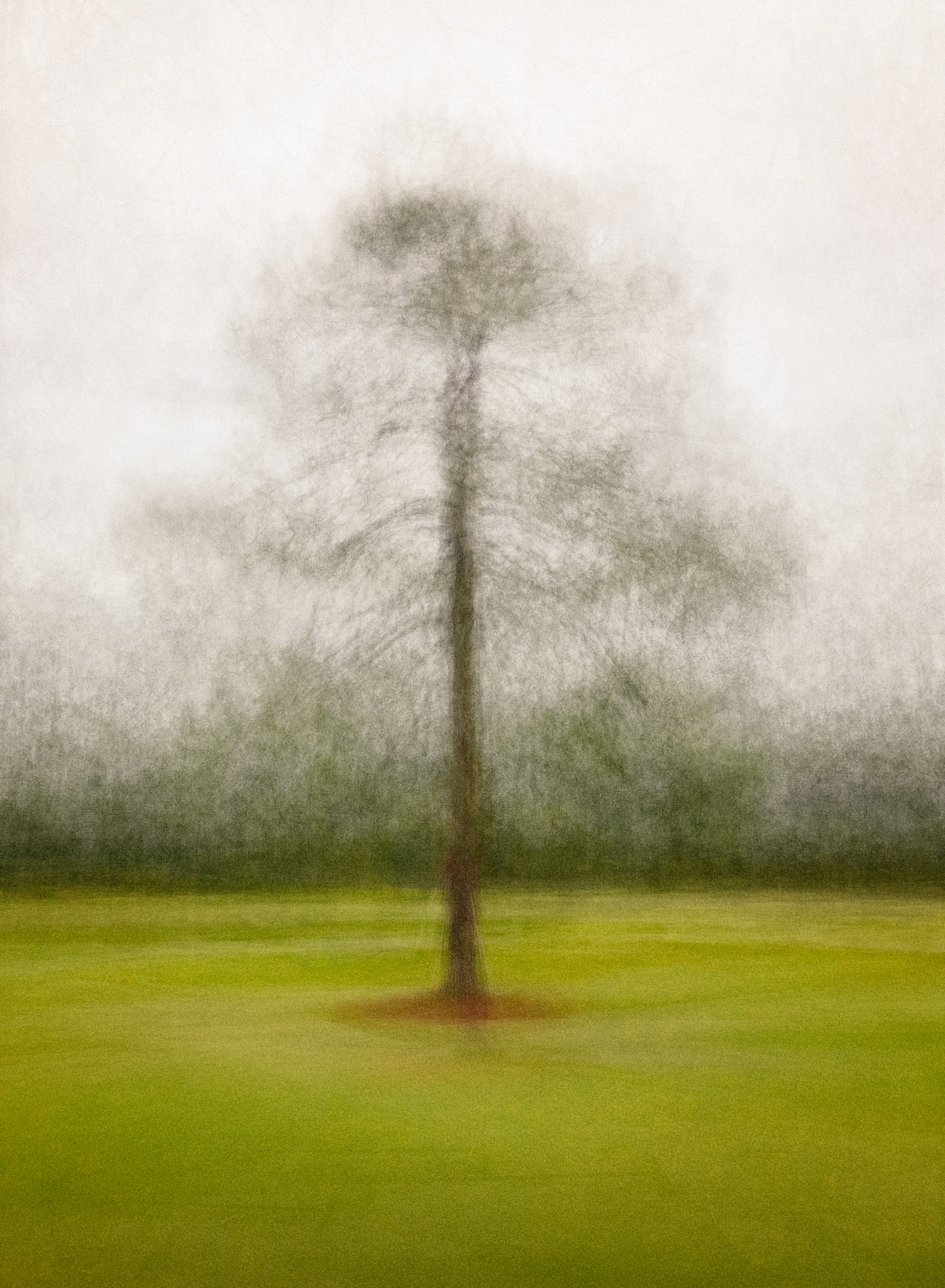 Fine Pine