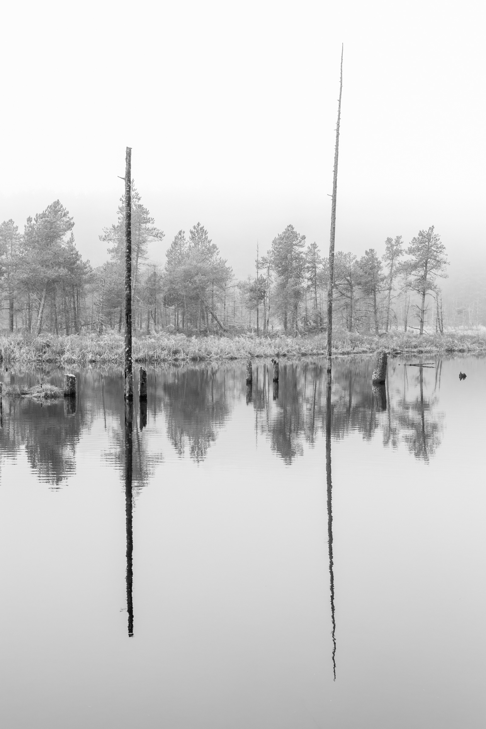 Skagit County, Washington