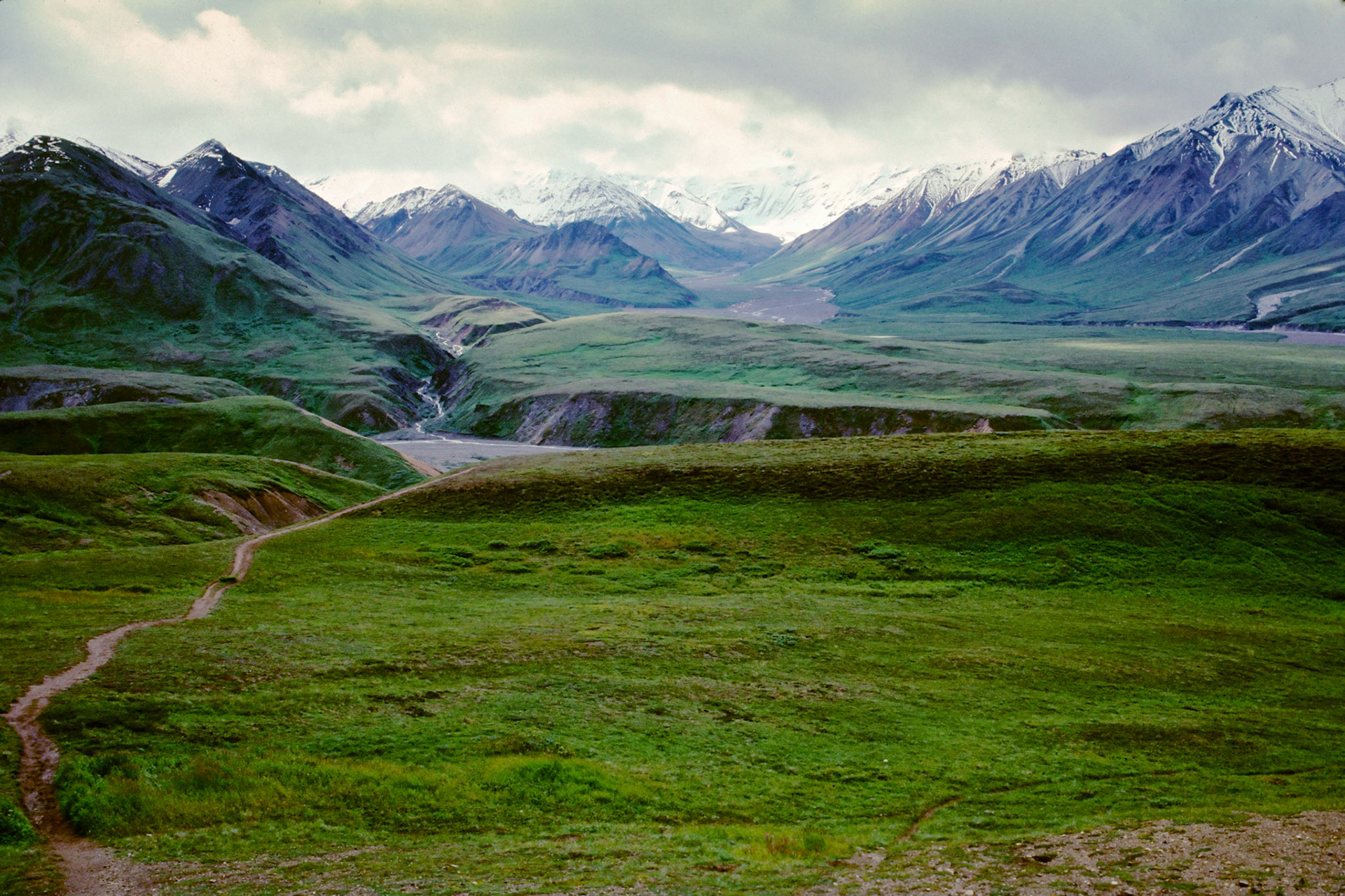 Denali National Park, AK