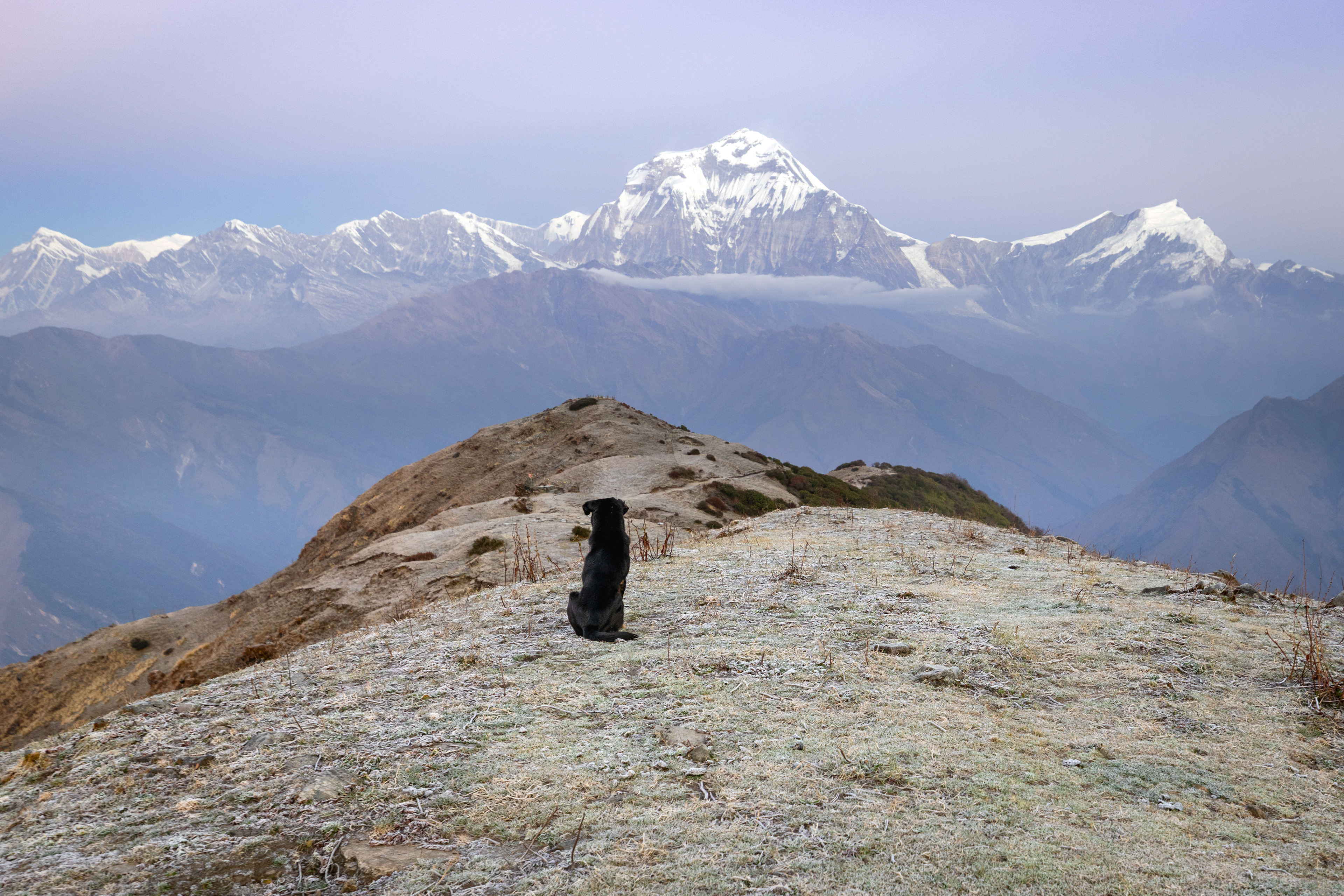 Dhaulagiri 1 (26,795 ft.)