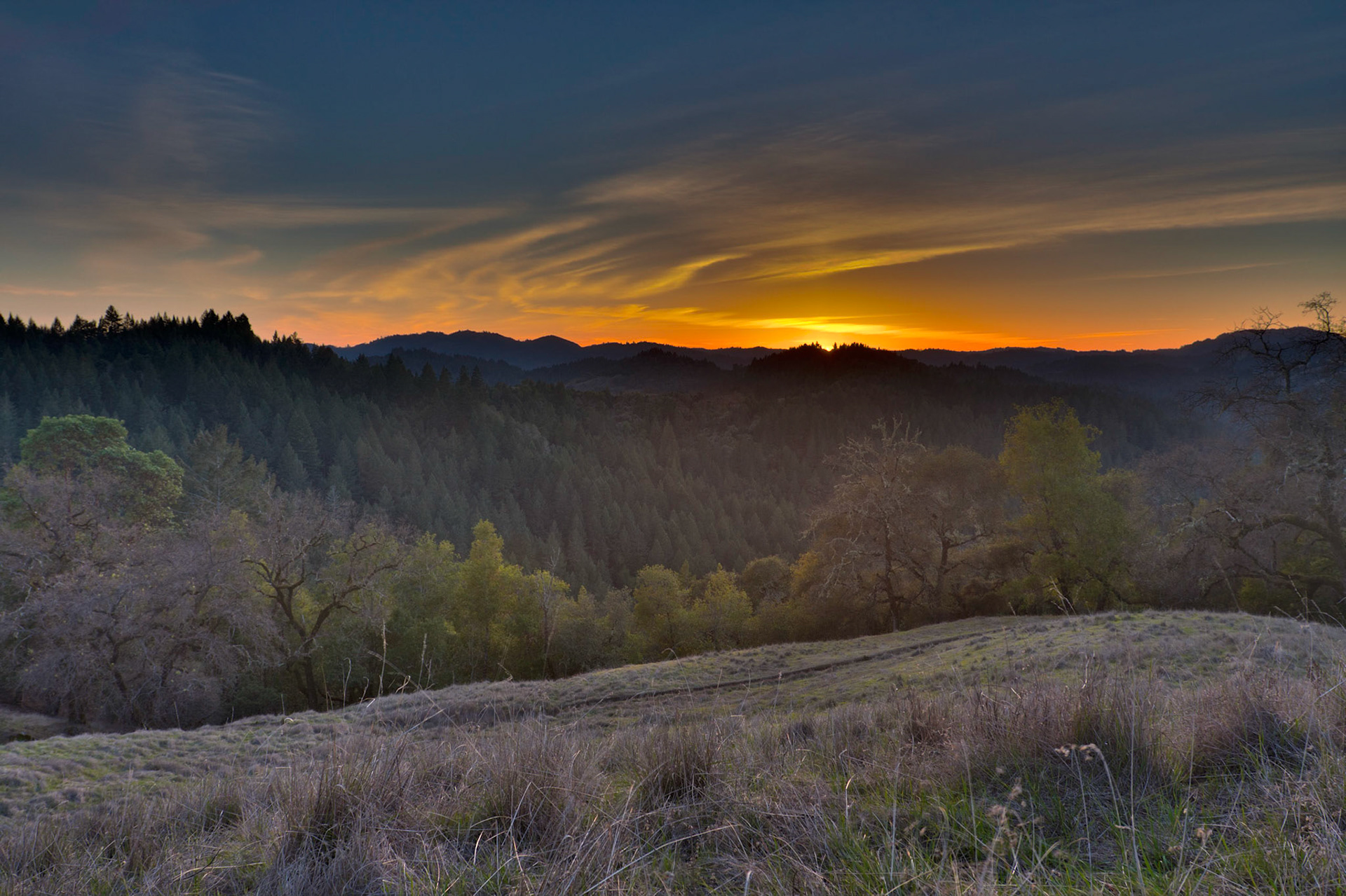 Austin Creek SRA, CA