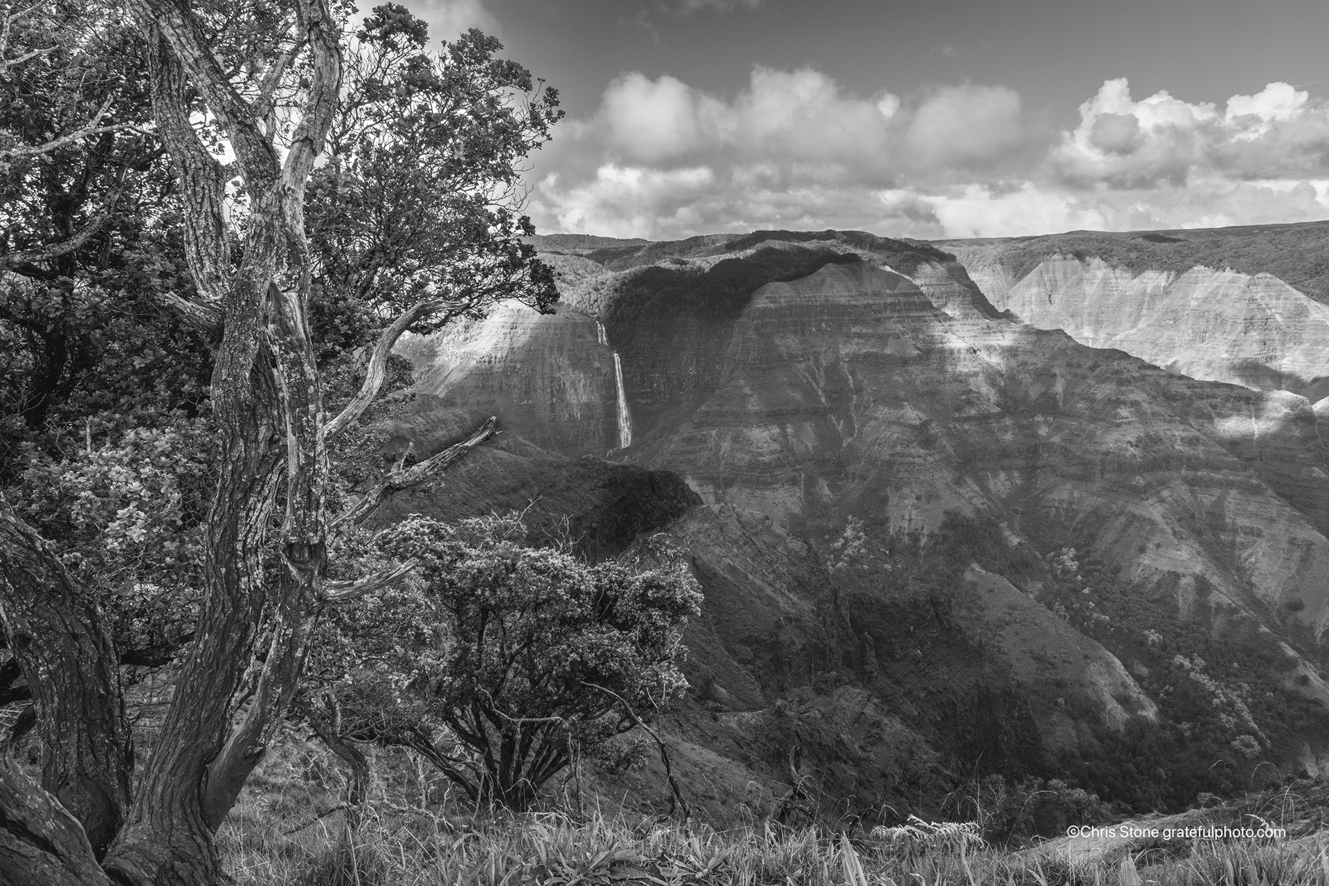 Waimea Canyon, Kauai