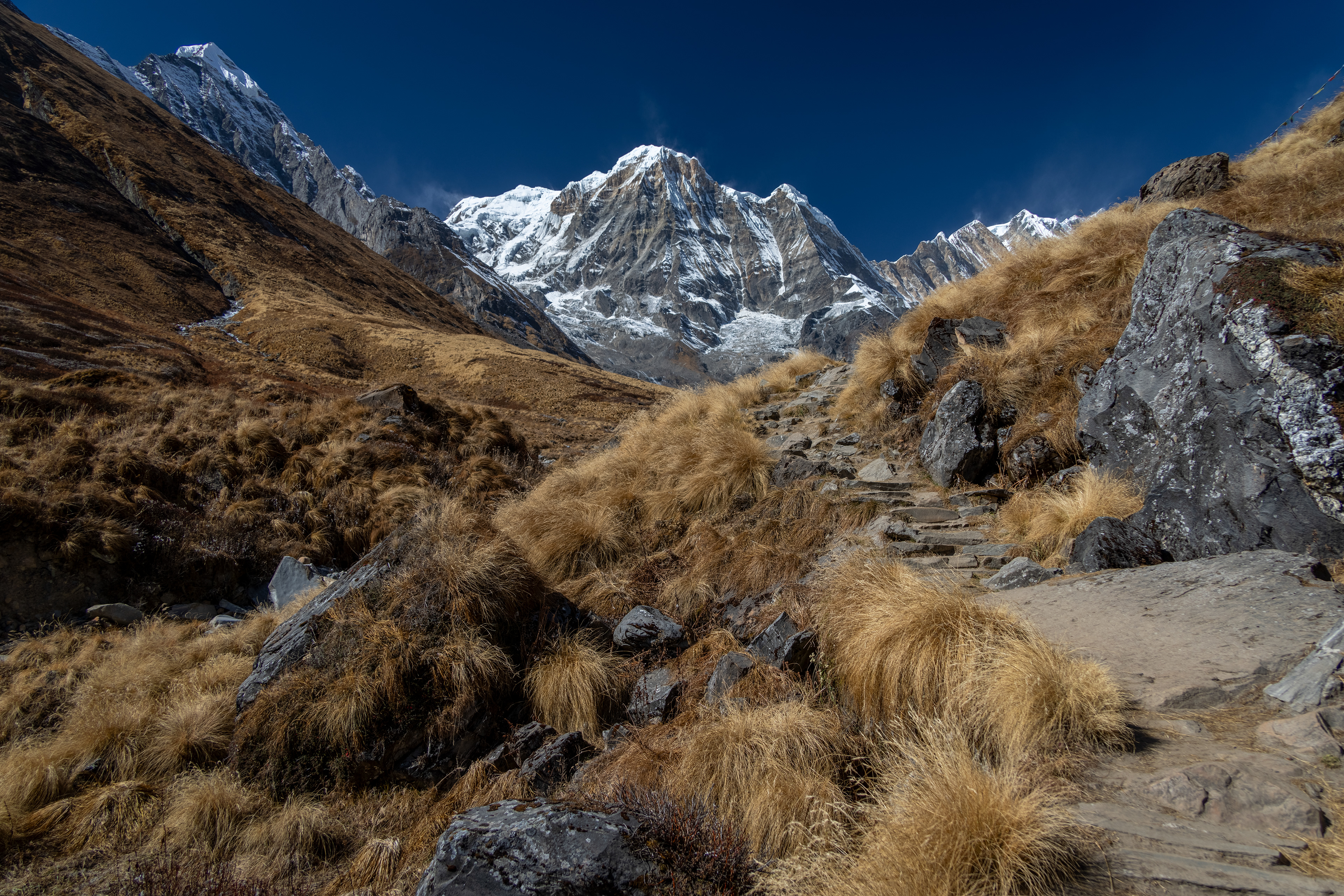 Annapurna III (24,787 ft)
