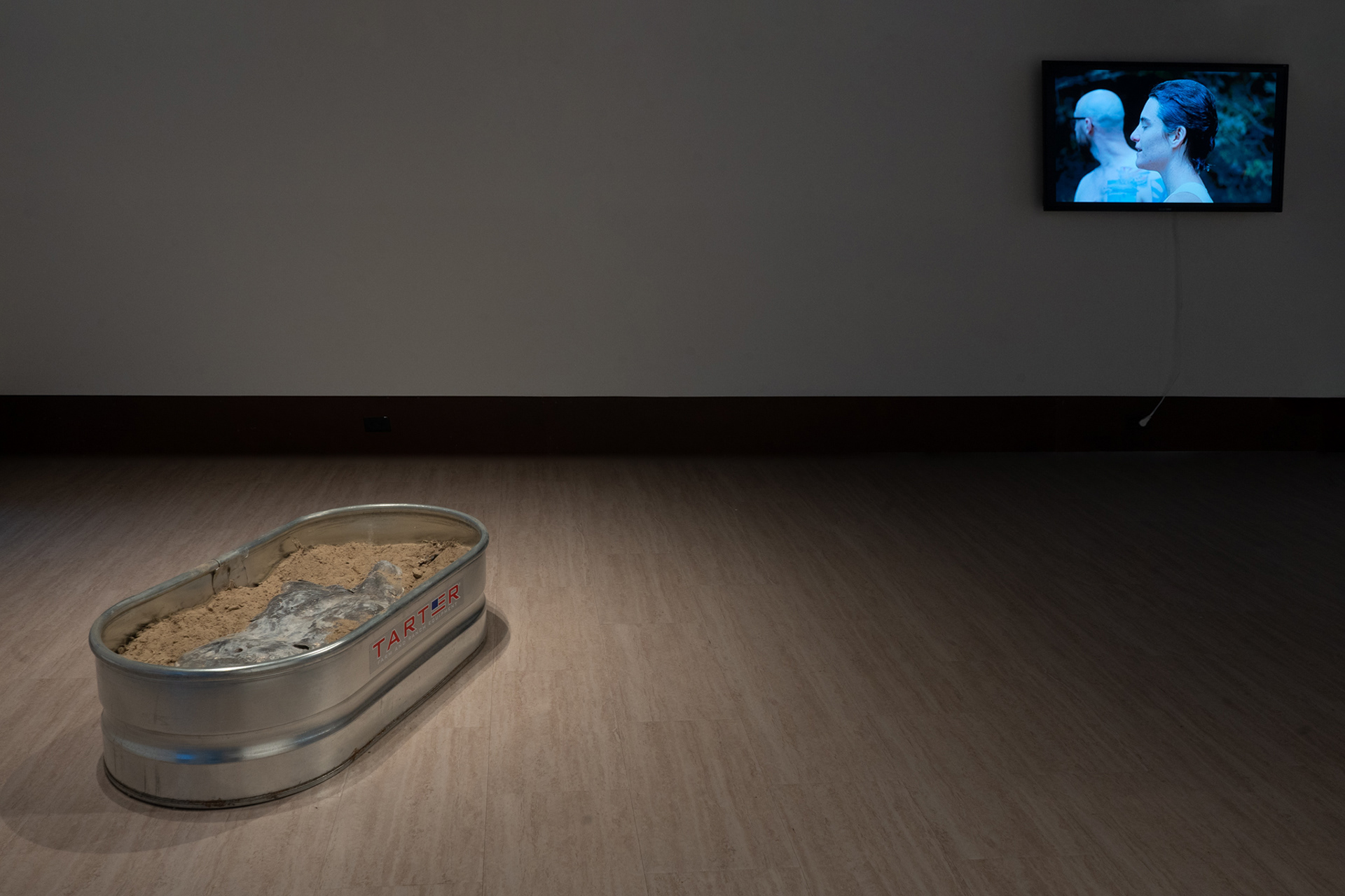 "Waterborne" and "Both Toxic and Miraculous" installation view, Wofford College, 2022.