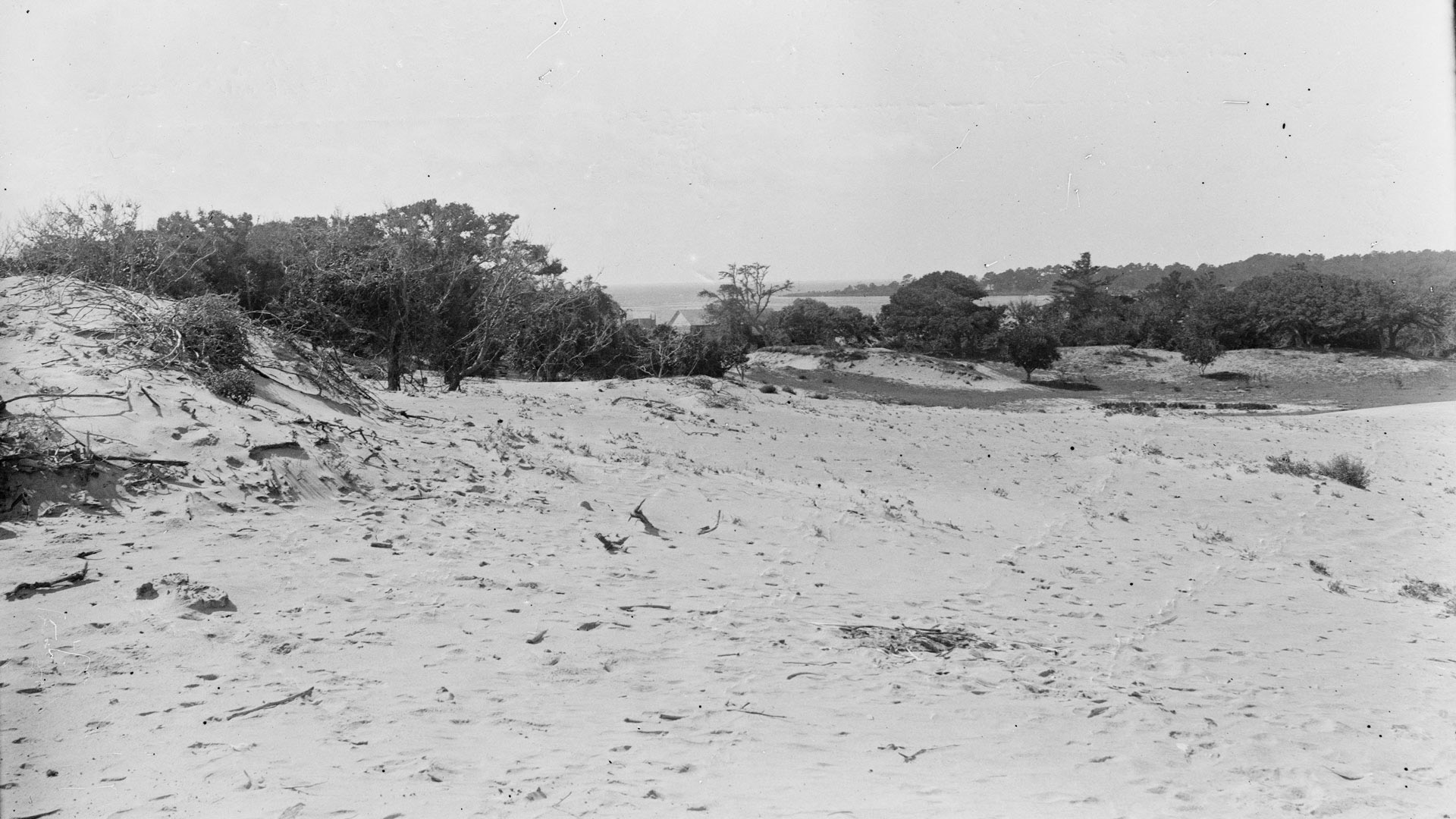 Kitty Hawk Bay viewed from the Wright brothers' 1900 camp.