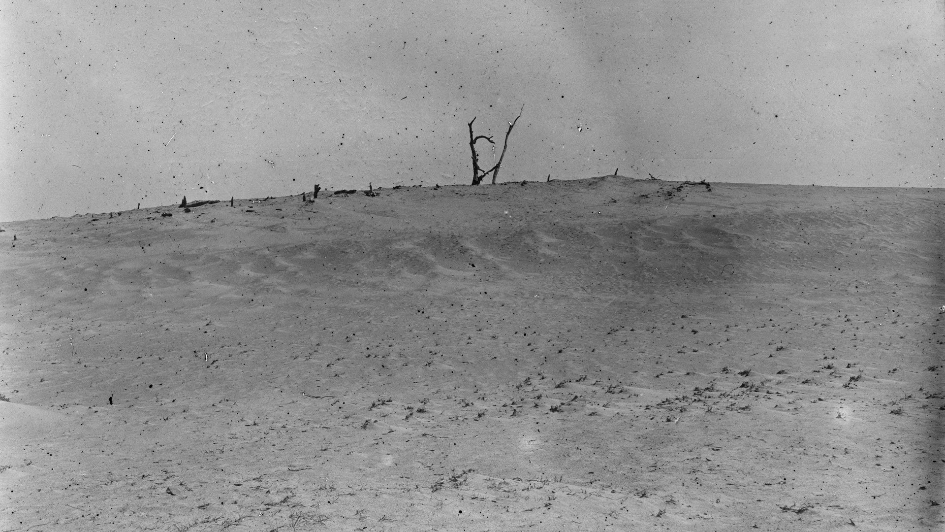 In the vicinity of the Wright Brothers' 1900 camp, where they conducted their first gliding experiments in October.