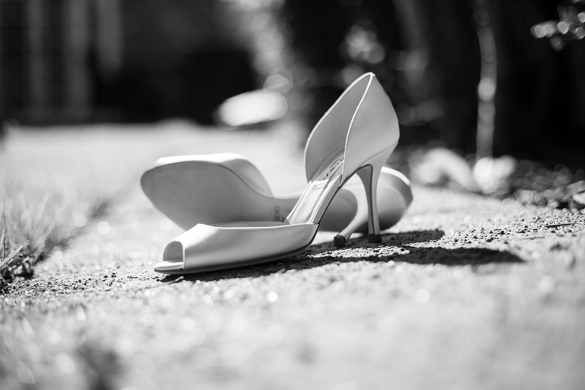 The Wedding Editorial // High-Fashion Celebration Curation.