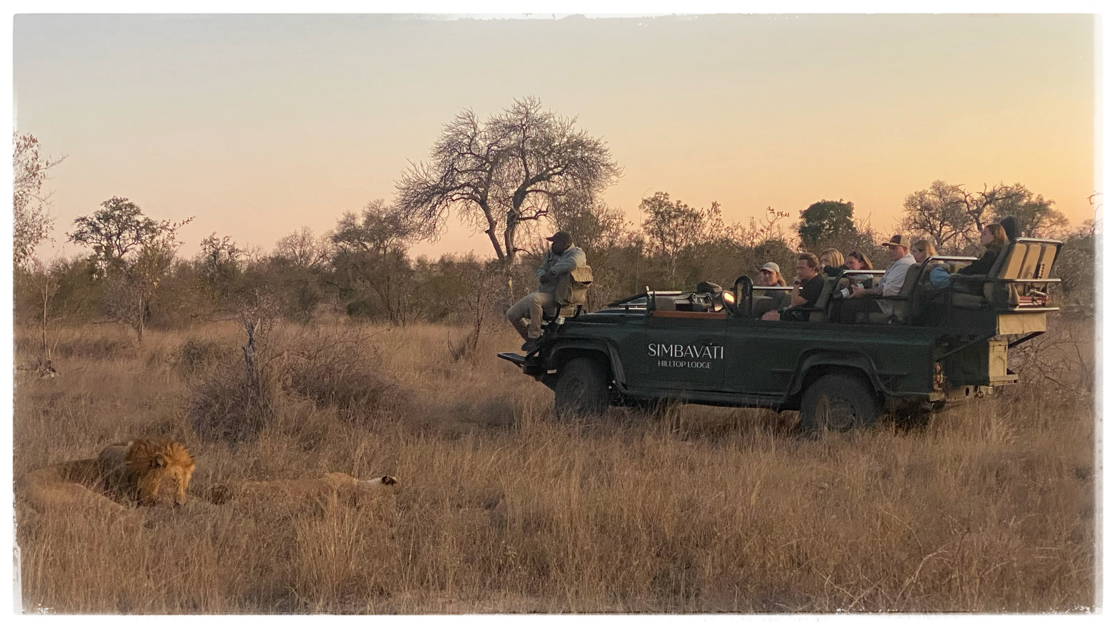 Réserve privée de Timbavati