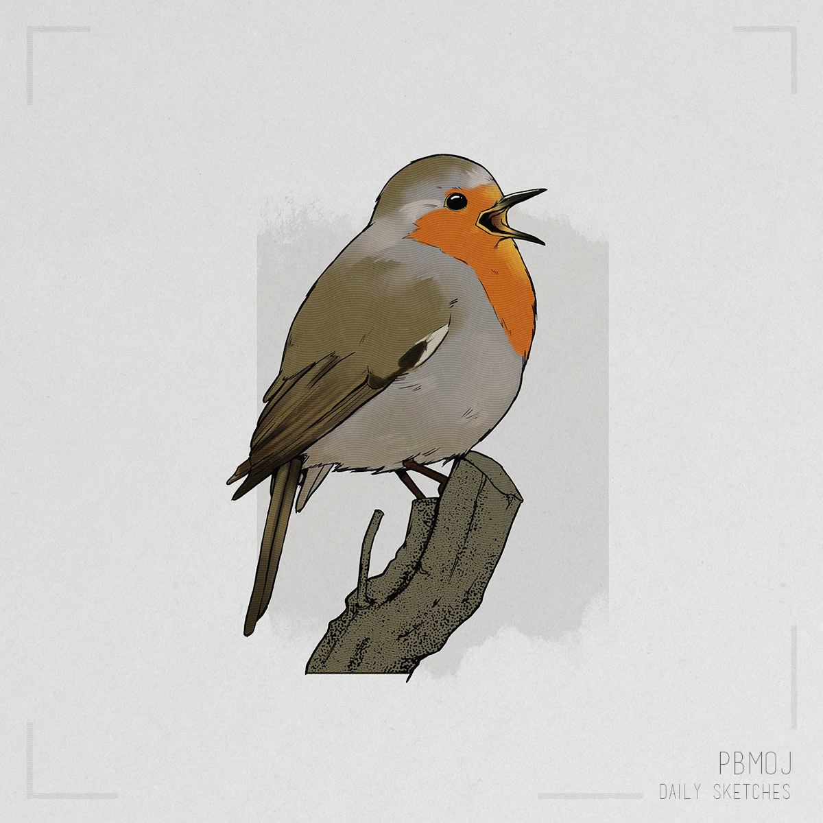 Birds - Daily Studies