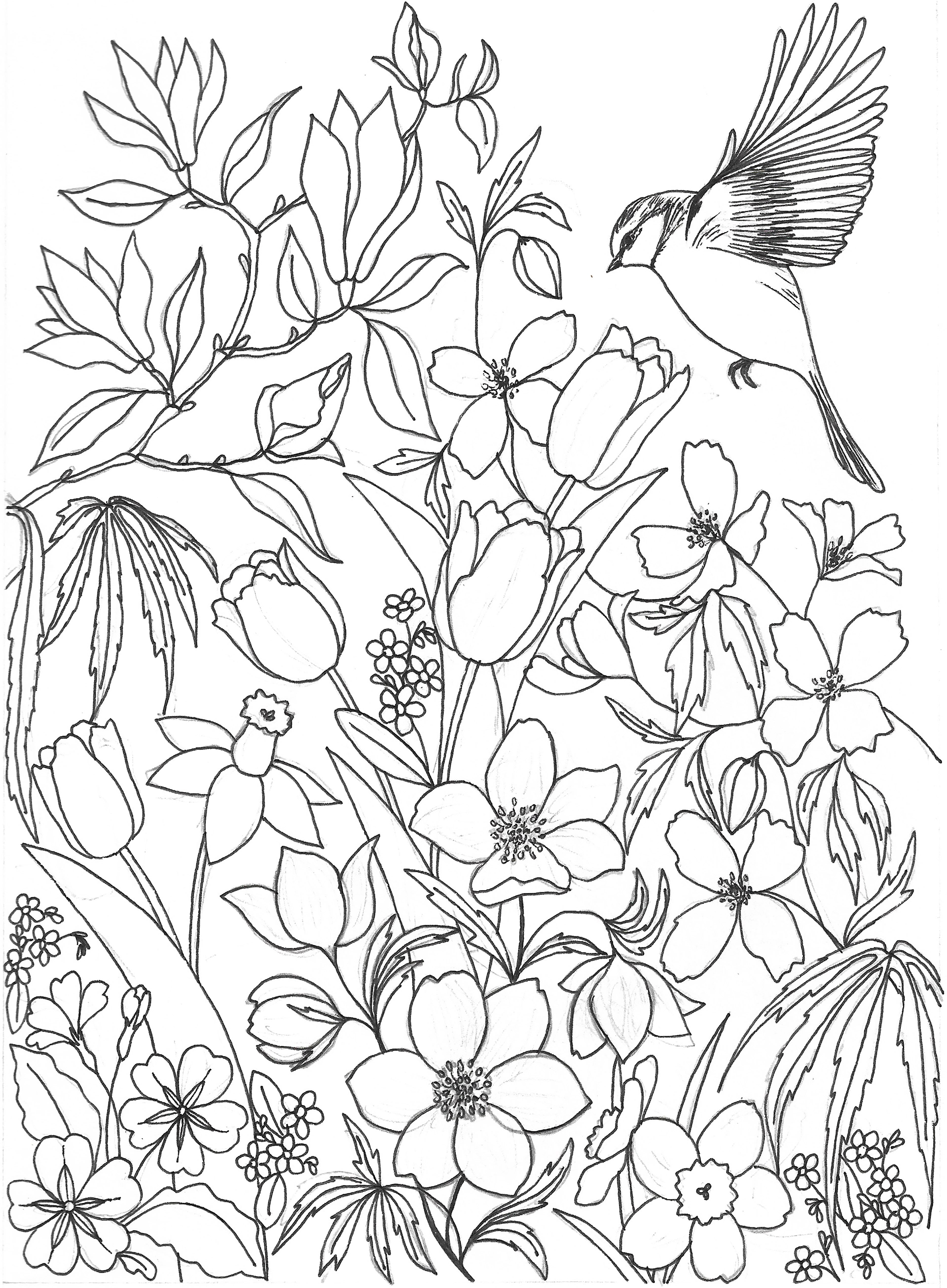 sketch for bespoke embroidery