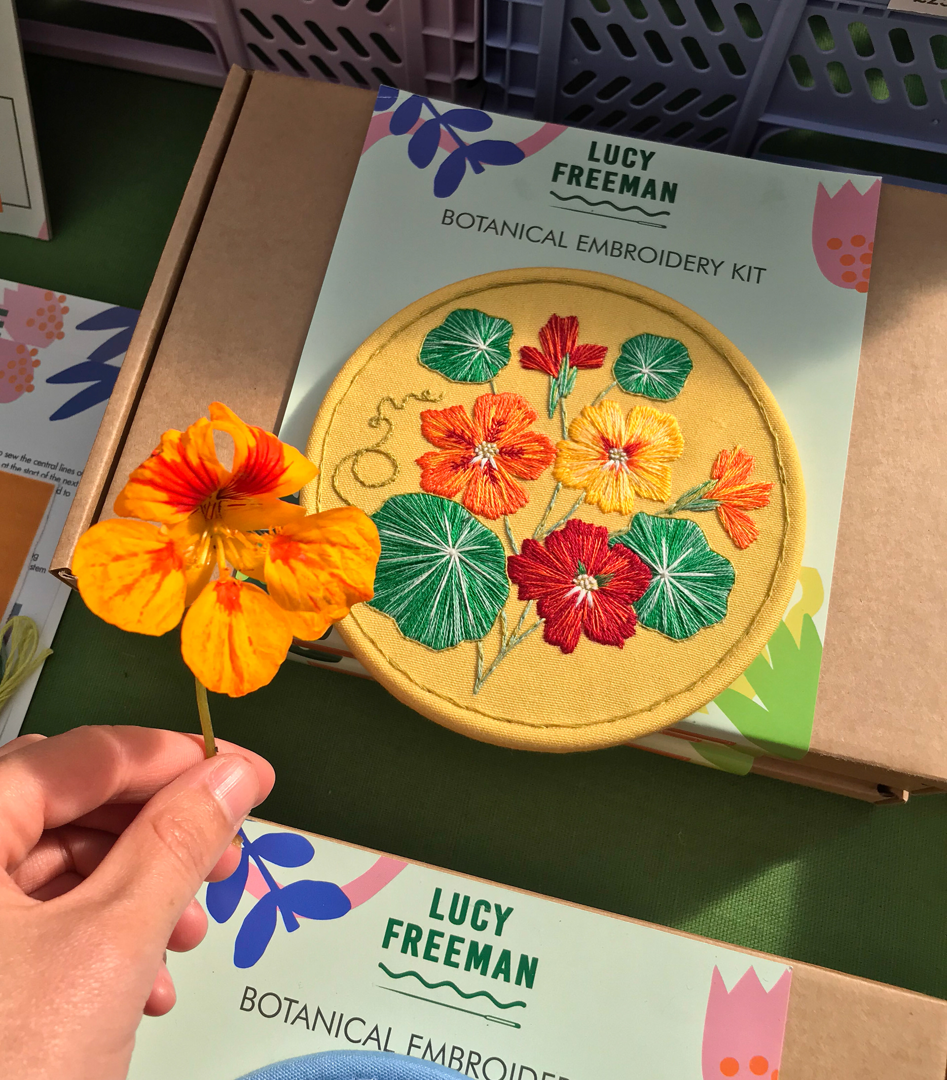 nasturtium embroidery kit