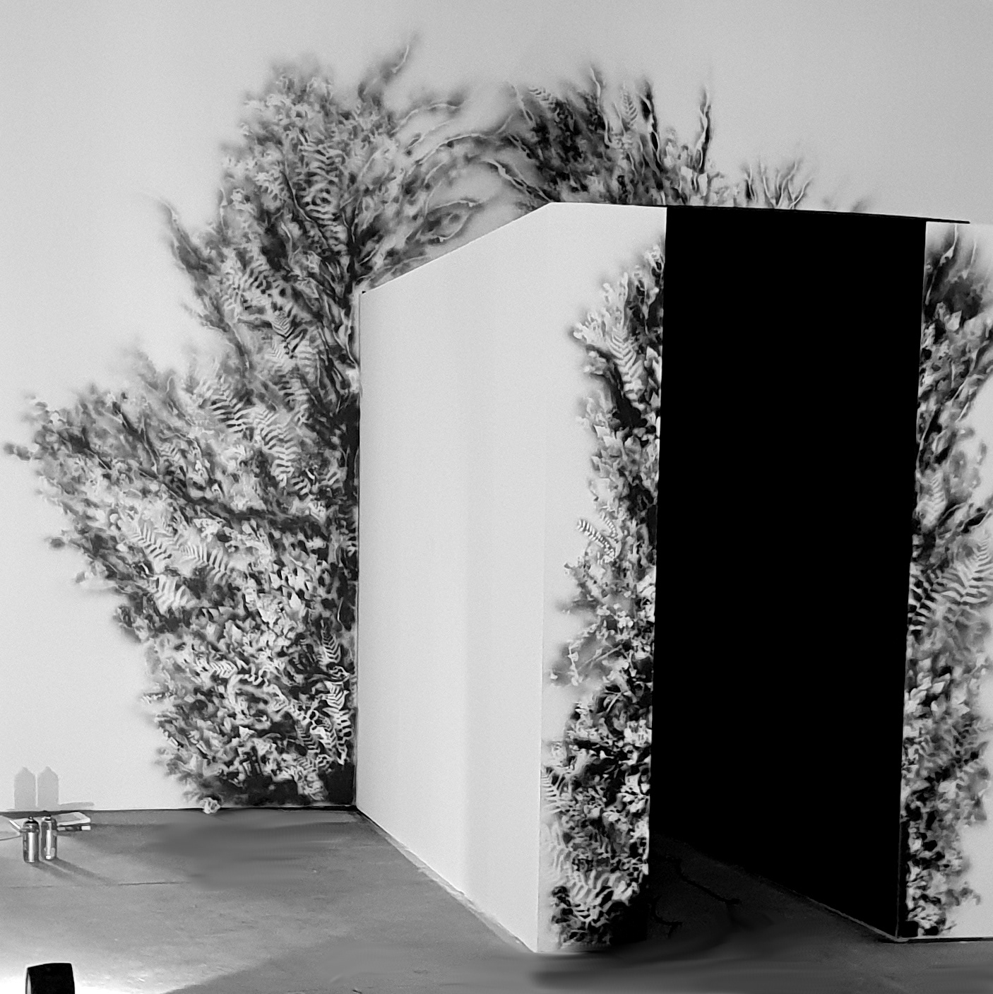 Exhibition Canvas 2019