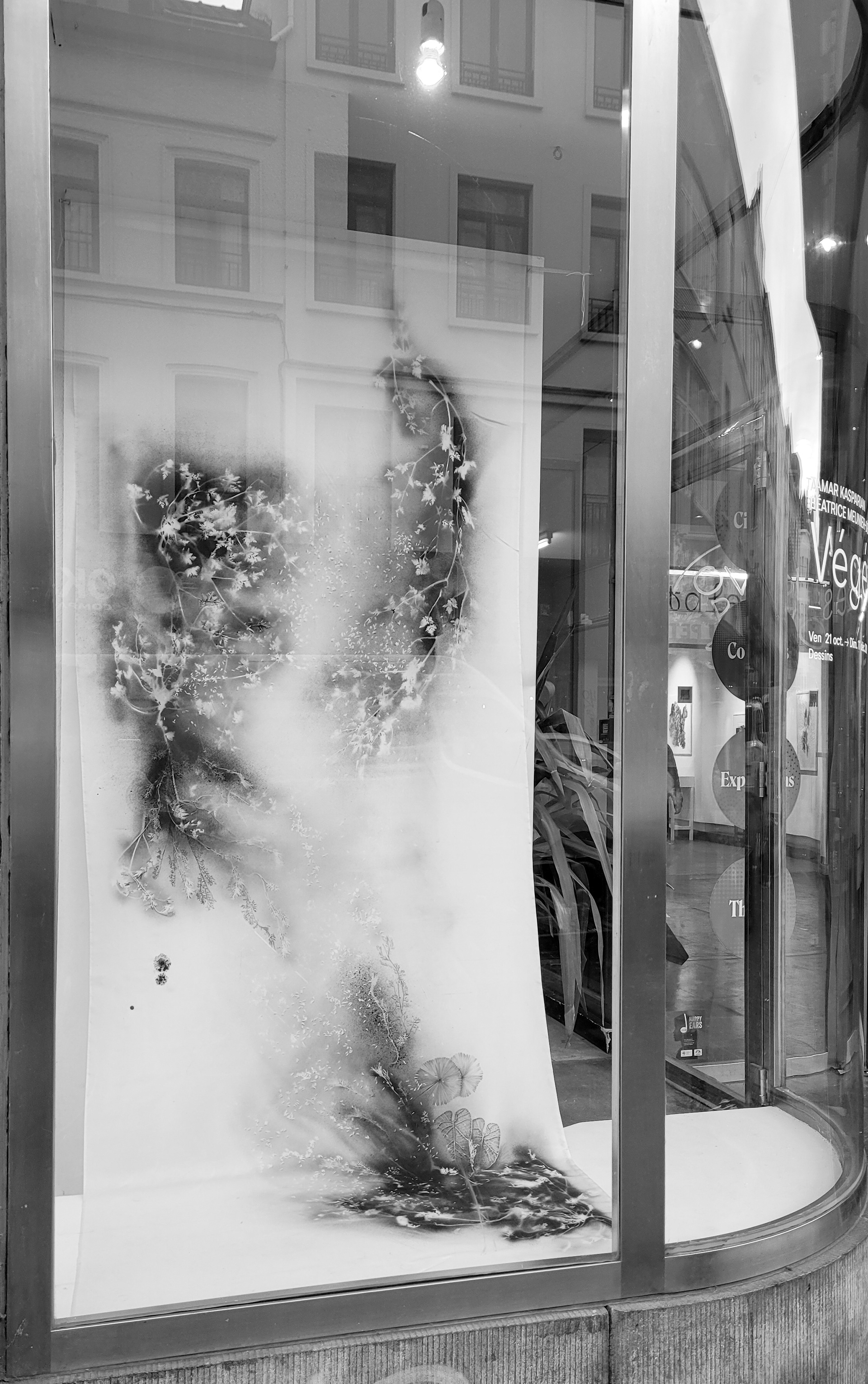 2022 Exhibition Vegetales - Centre Culturel Le Jacques Franck