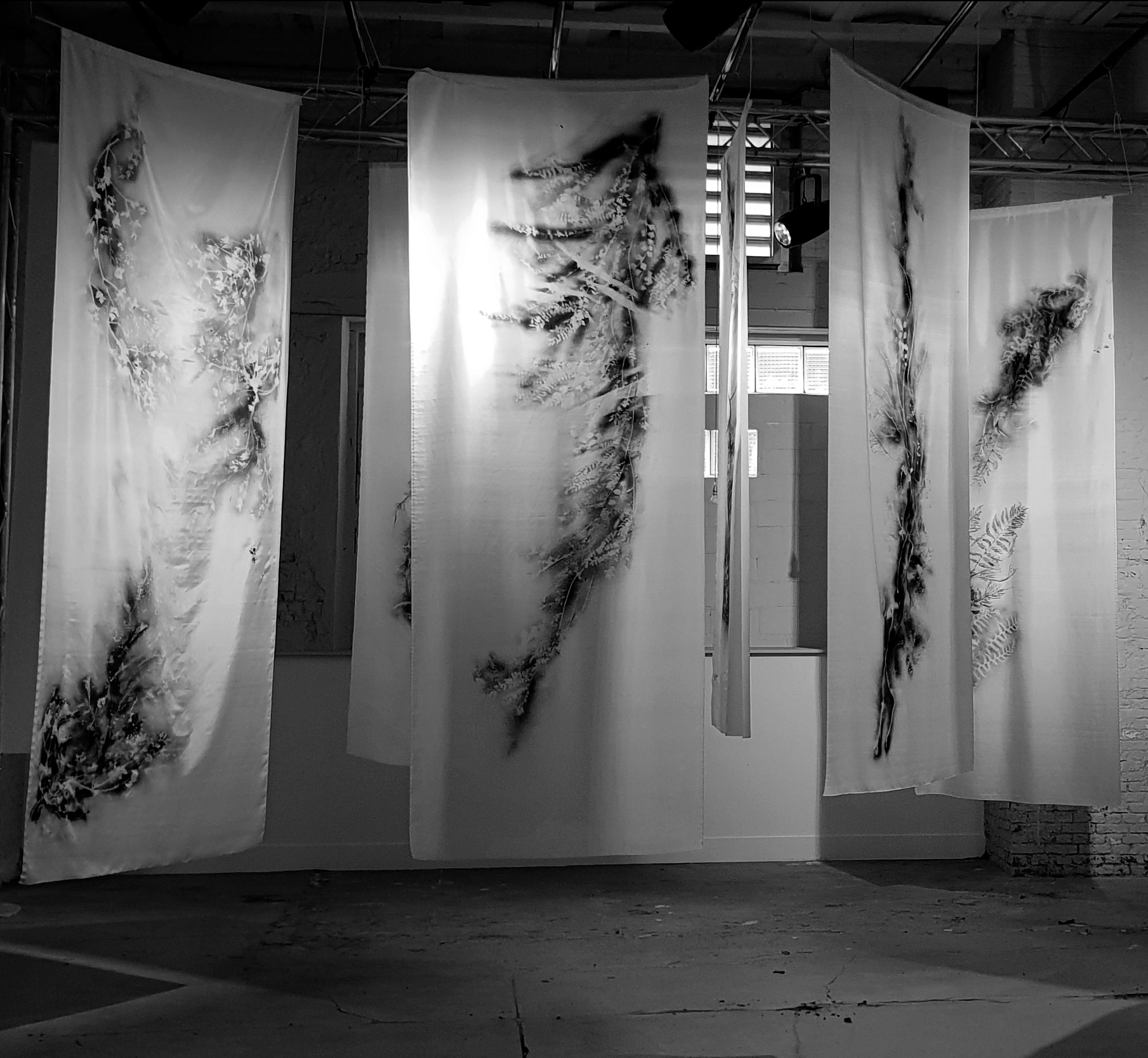 Exhibition Canvas 2019