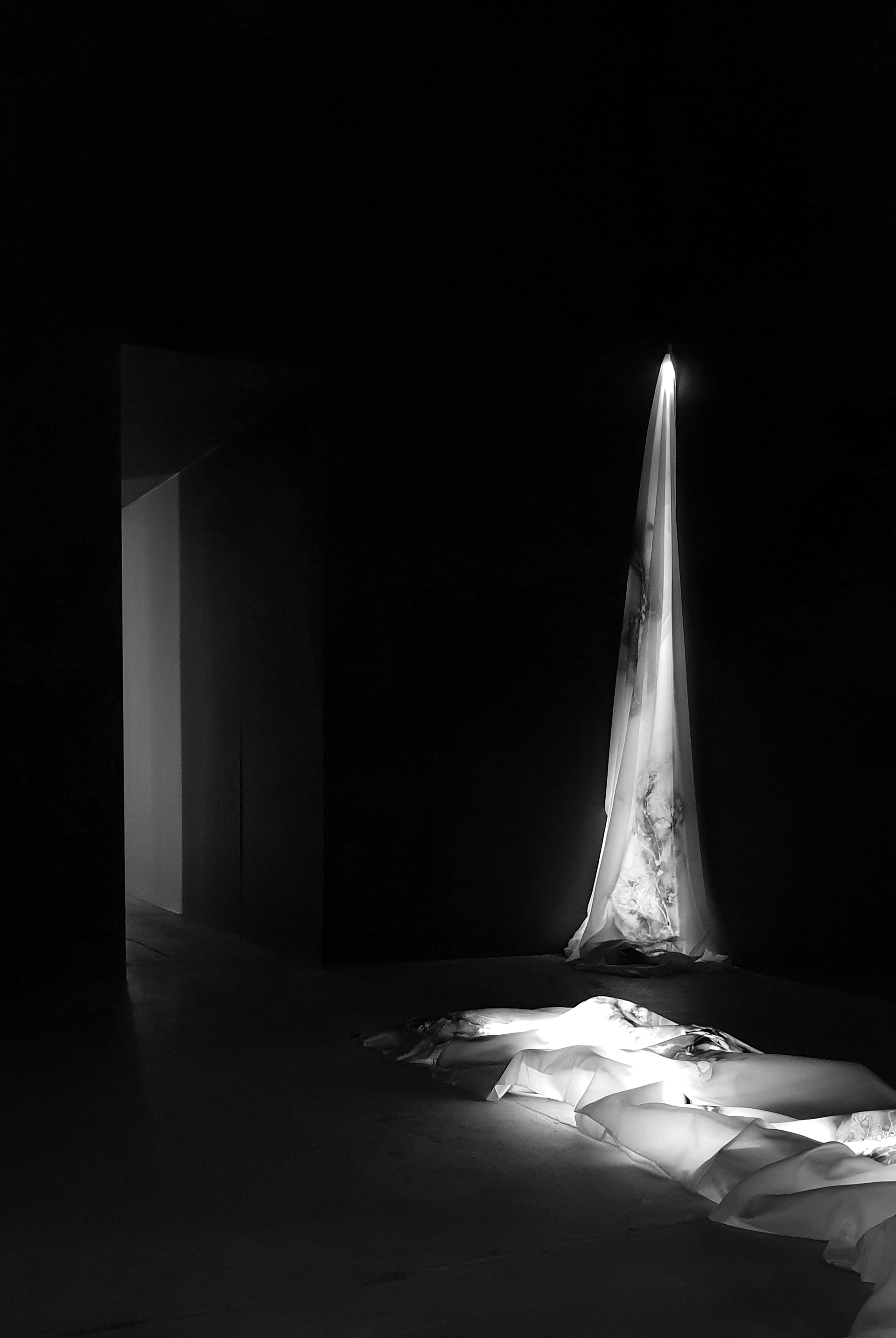 Exhibition Canvas 2019