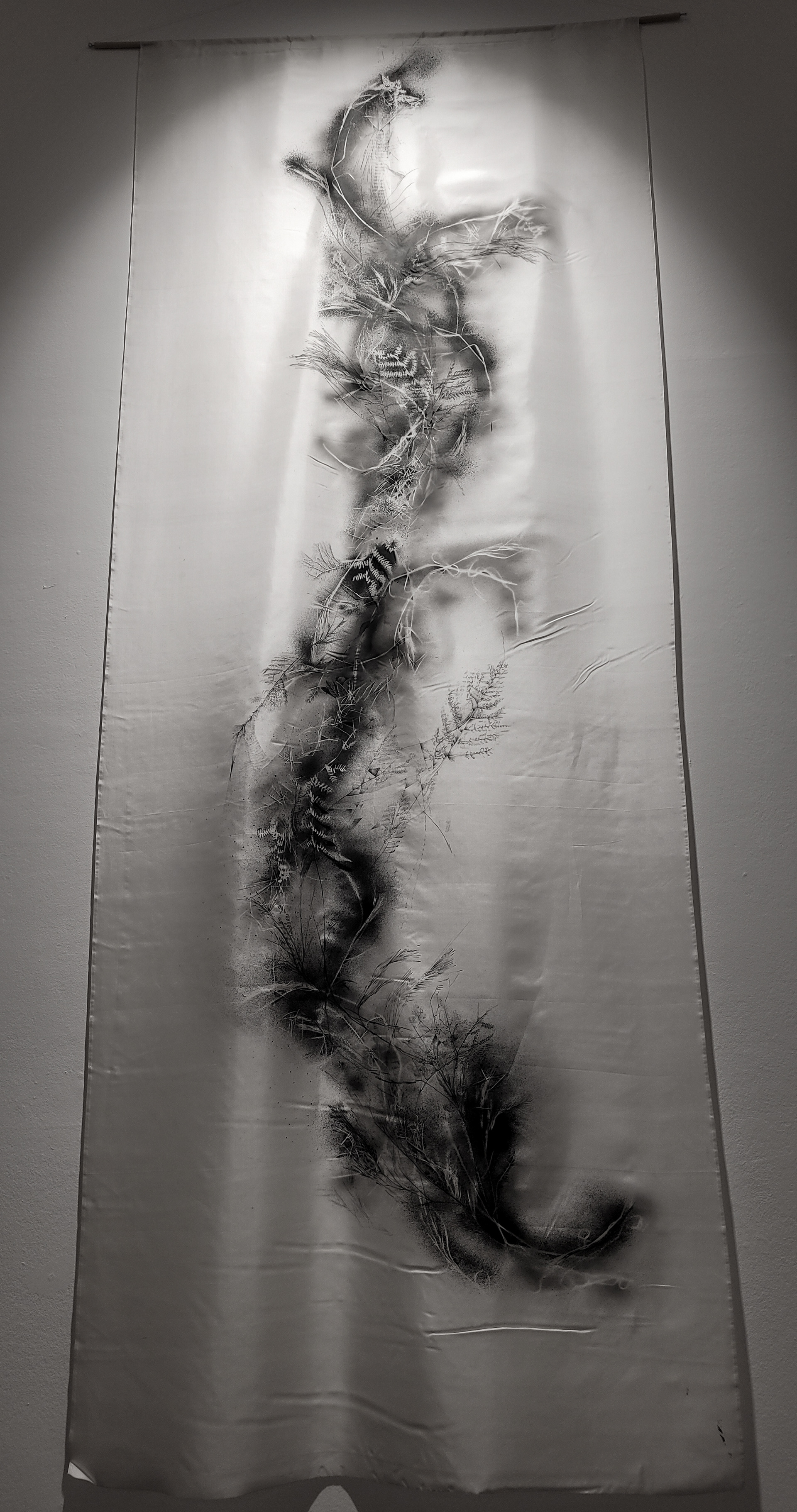 2022 Exhibition Vegetales - Centre Culturel Le Jacques Franck