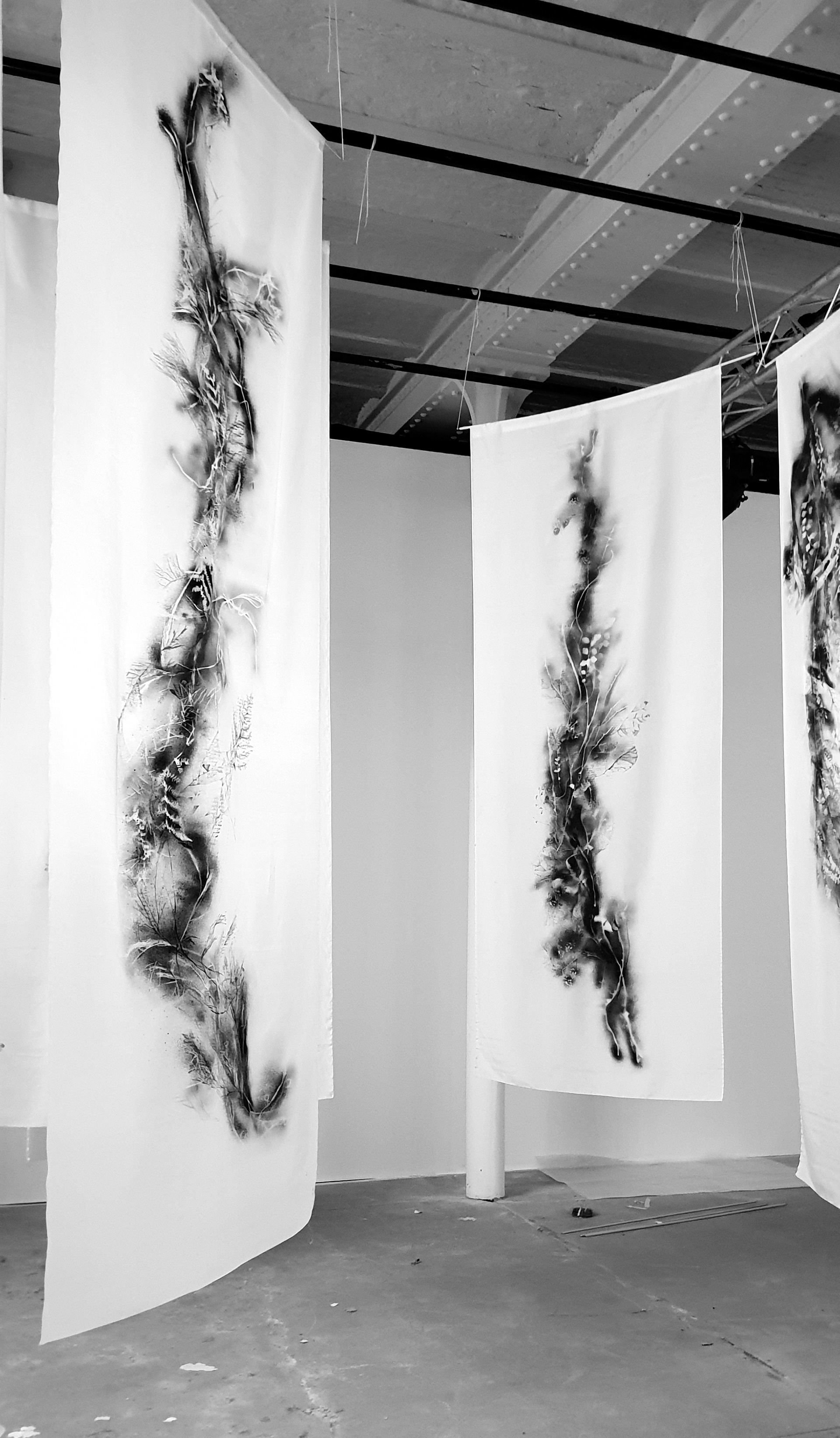 Exhibition Canvas 2019