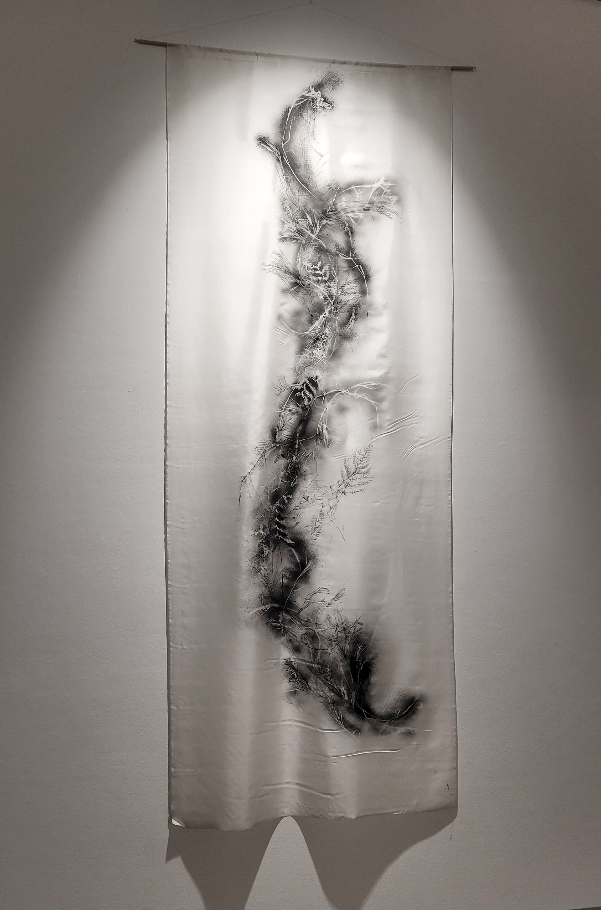 2022 Exhibition Vegetales - Centre Culturel Le Jacques Franck