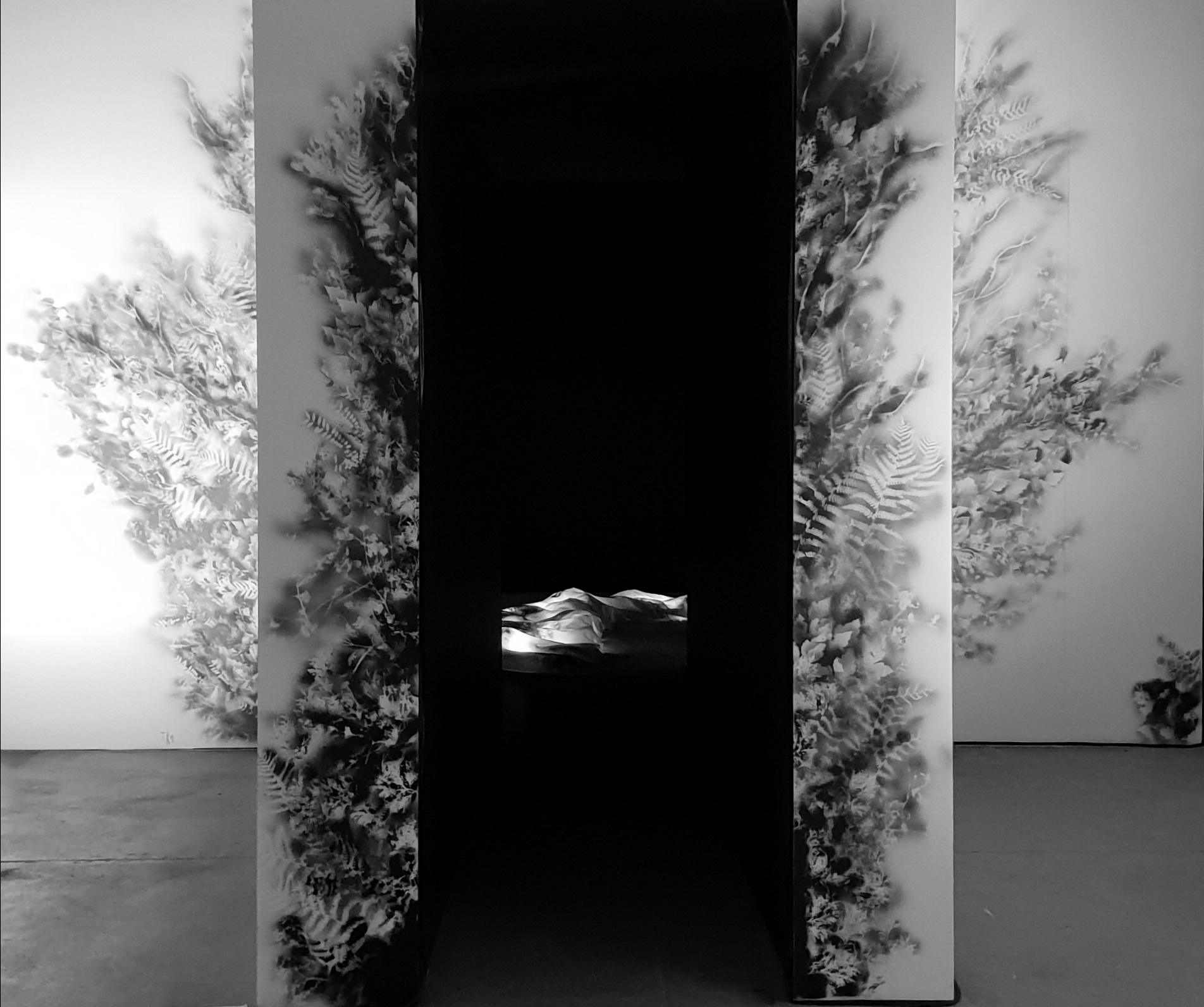 Exhibition Canvas 2019