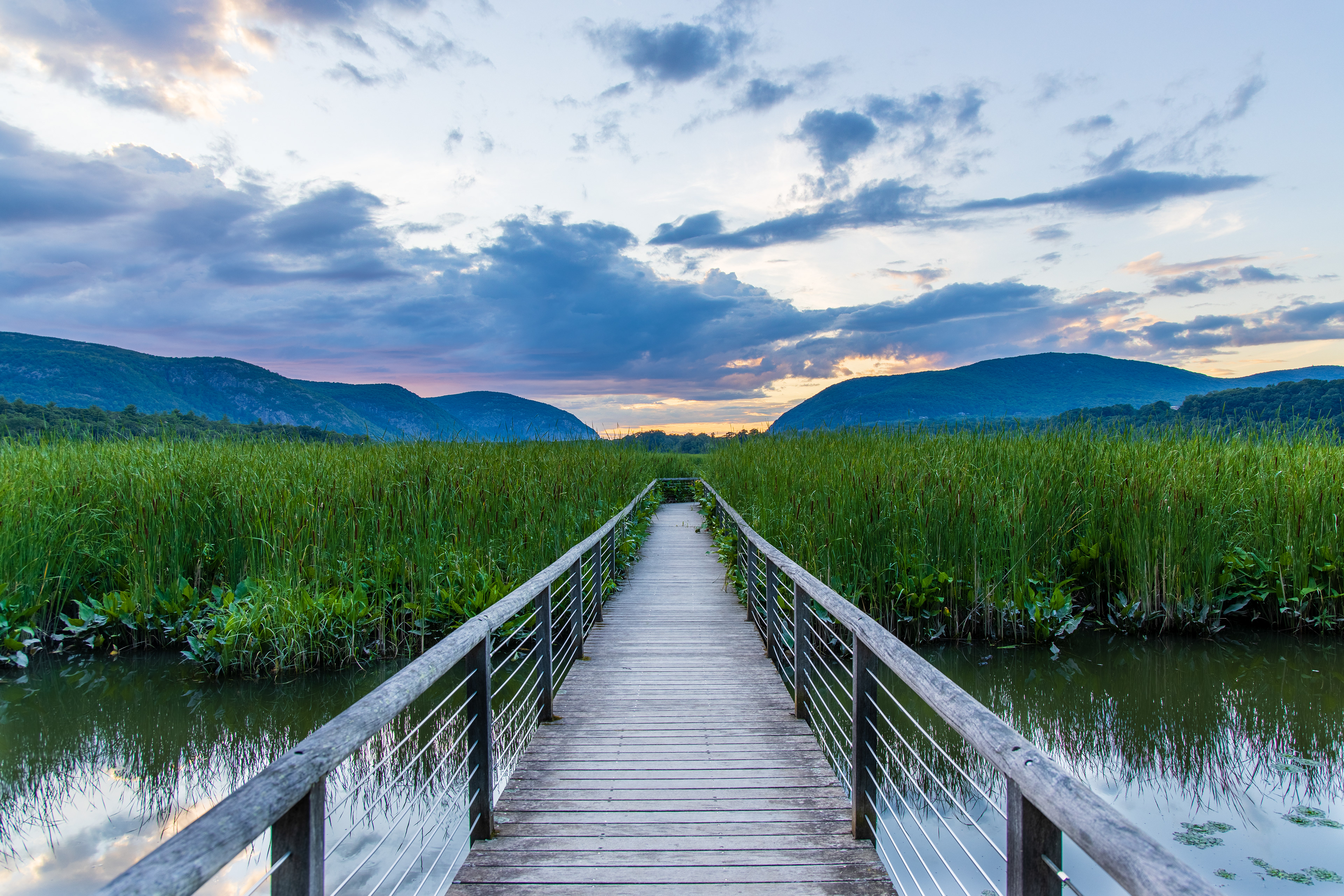 Constitution Marsh