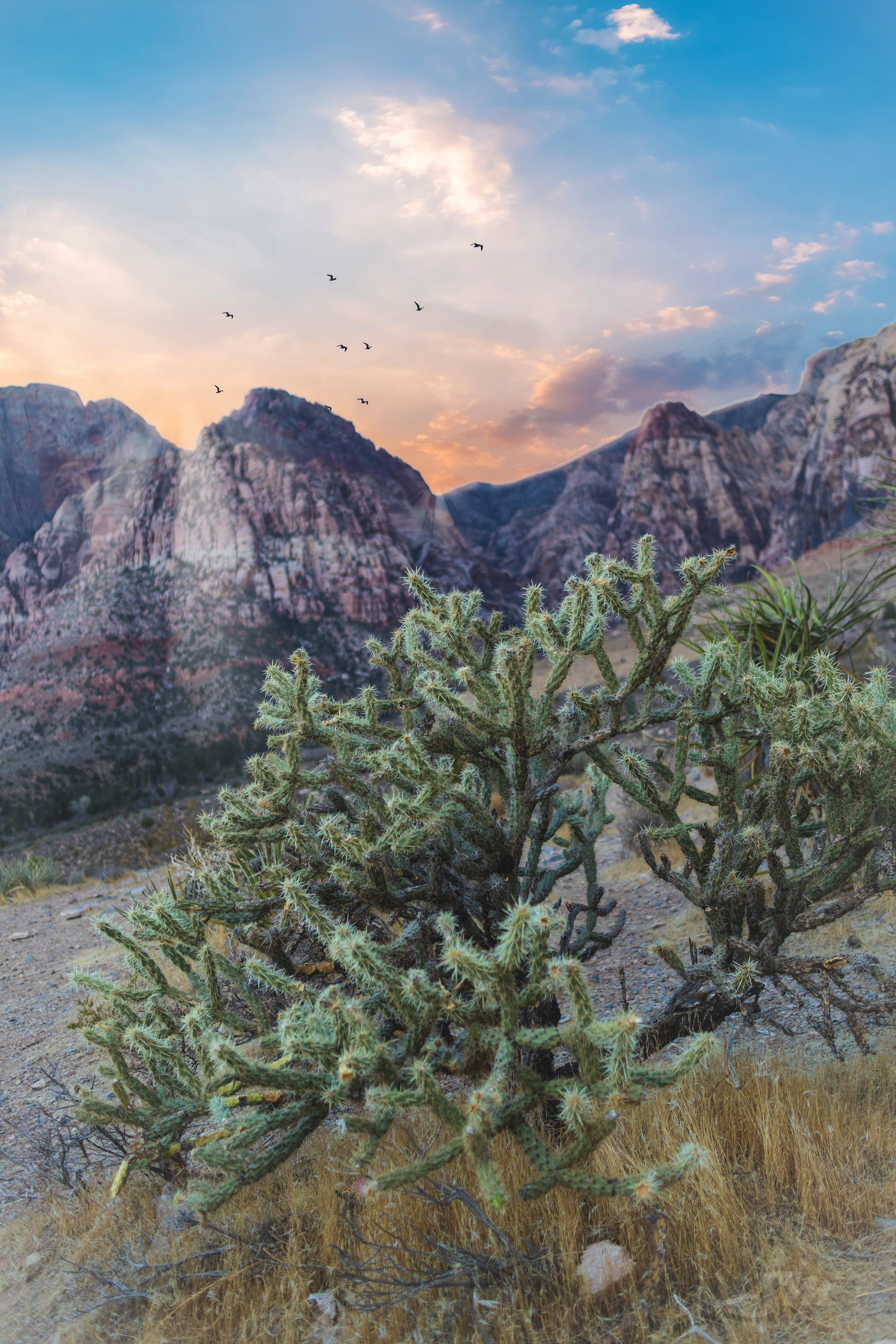 Red Rock Canyon