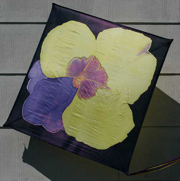 One of Many Kites: Silk, Dyes, Ribbons