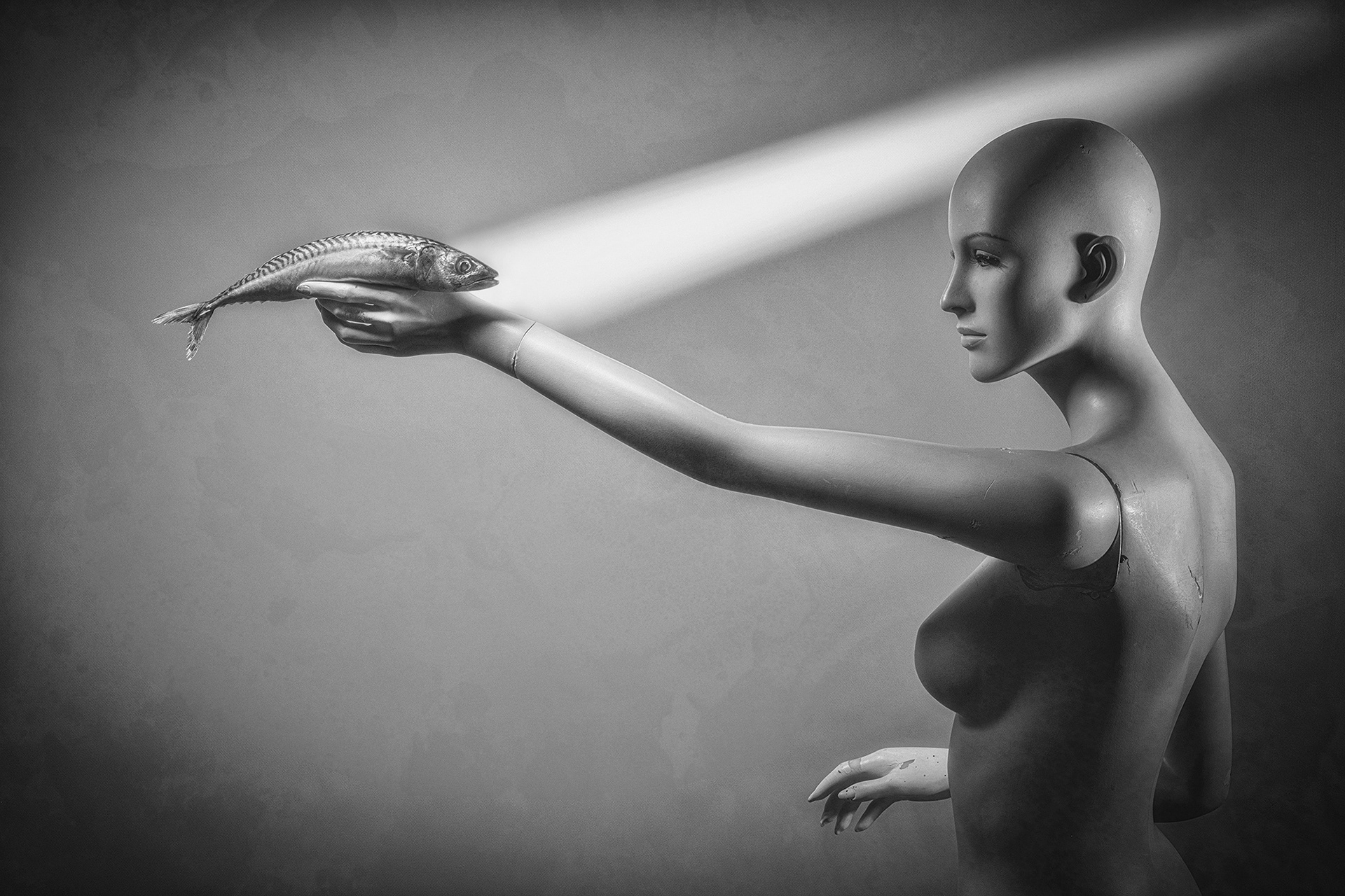 A Quiet Witness /2025/