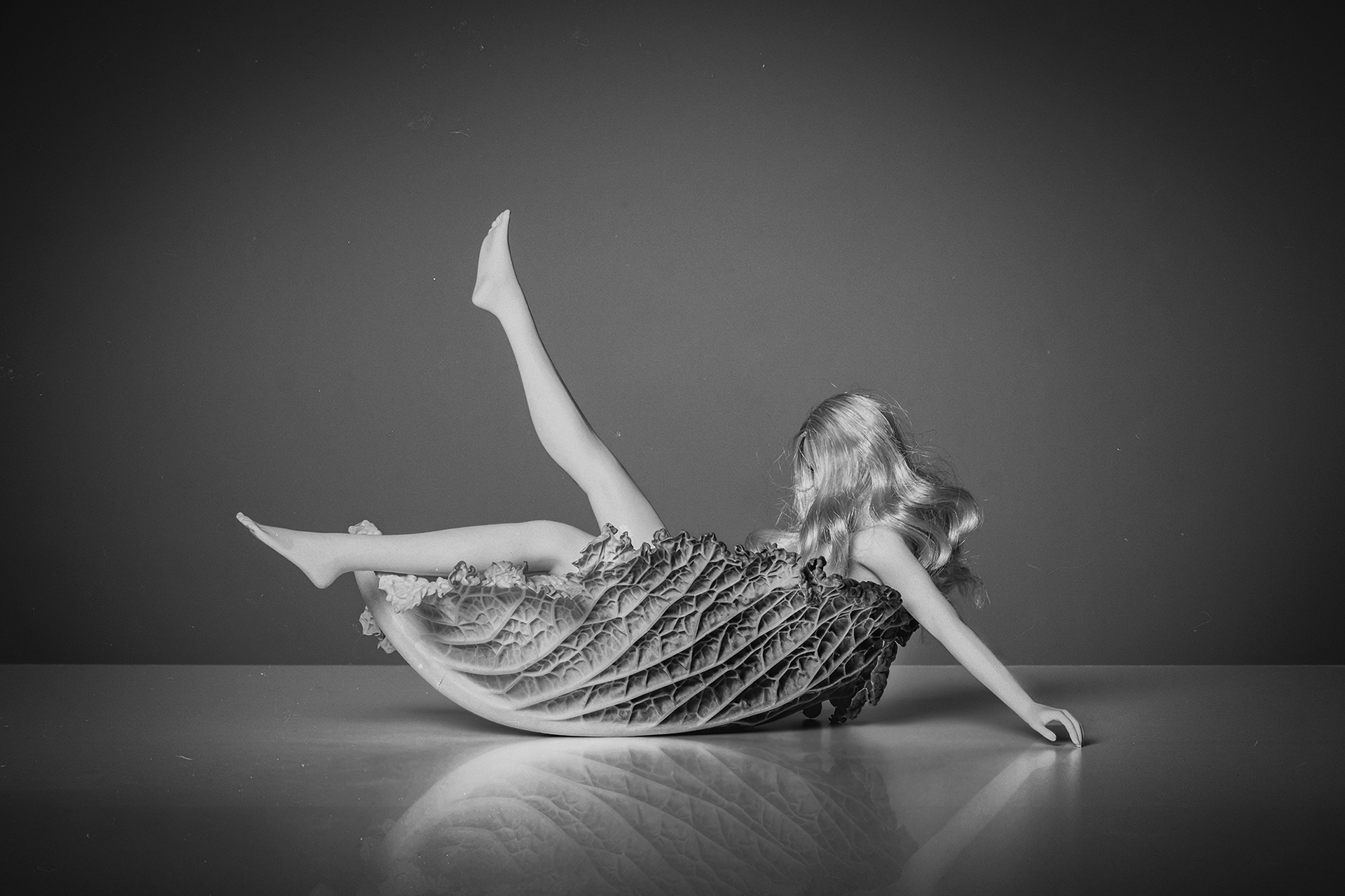 Organic Utopia /2025/