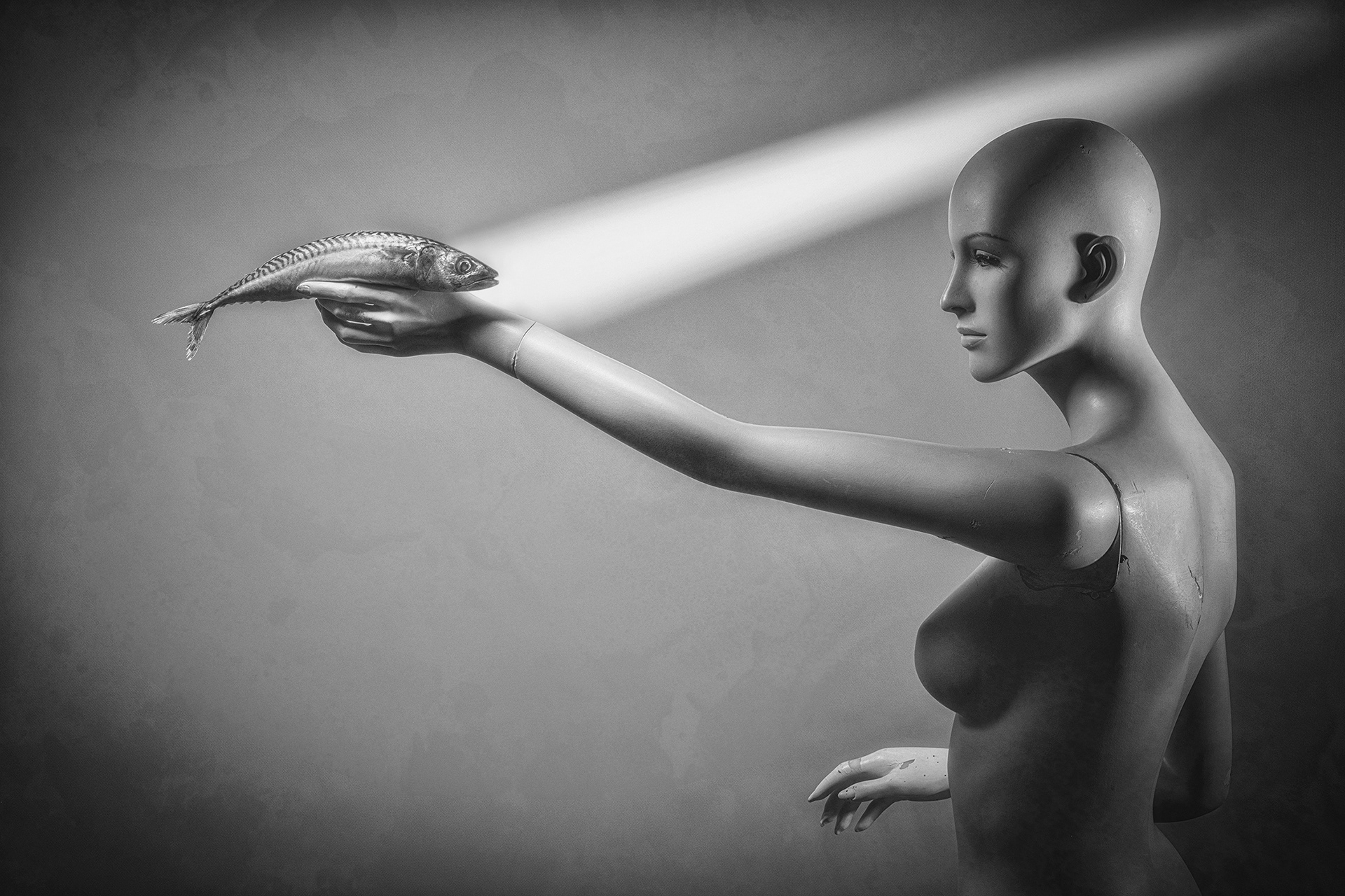 Eye to Eye (A moment of truth…)
