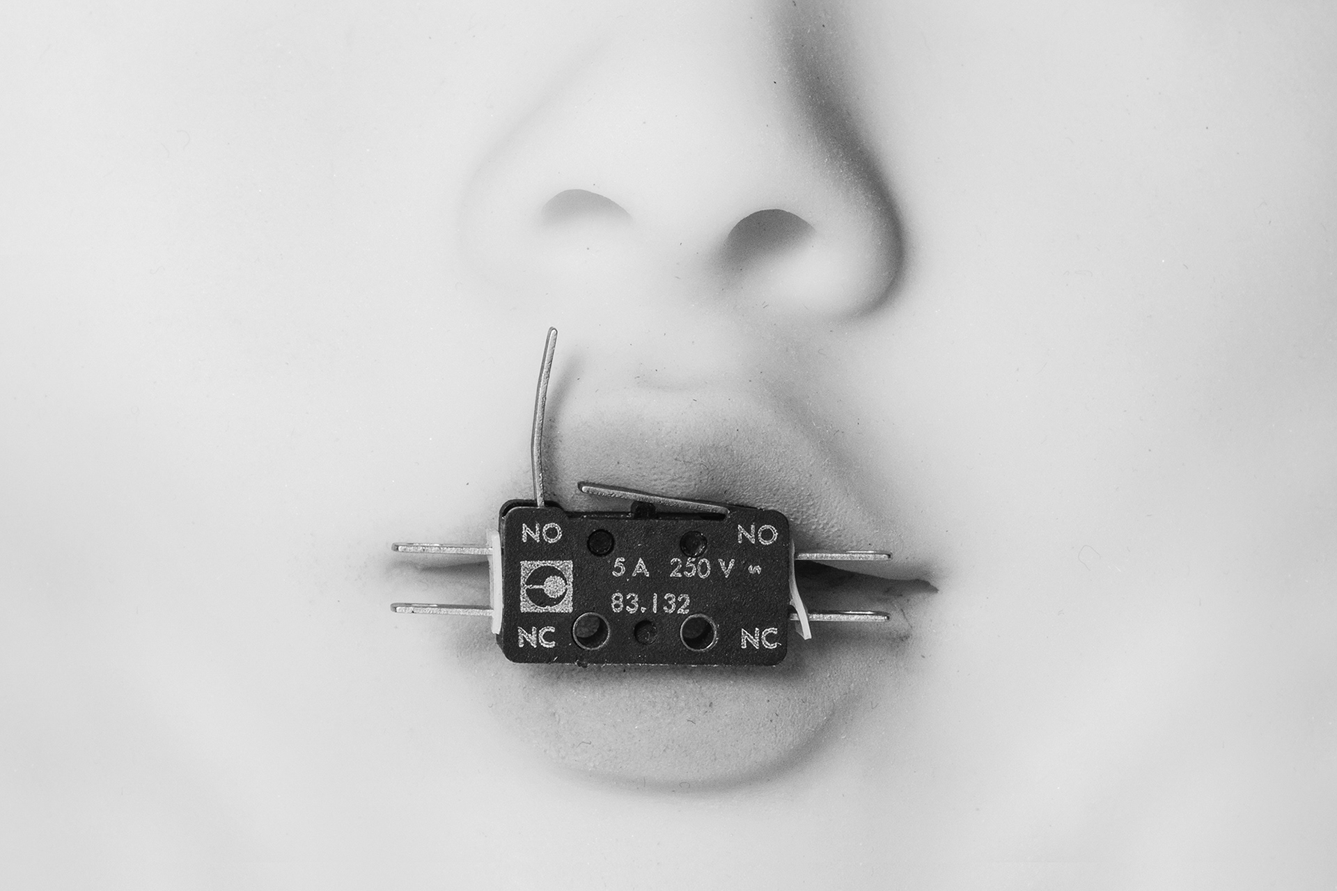 Electronic Lips /2025/