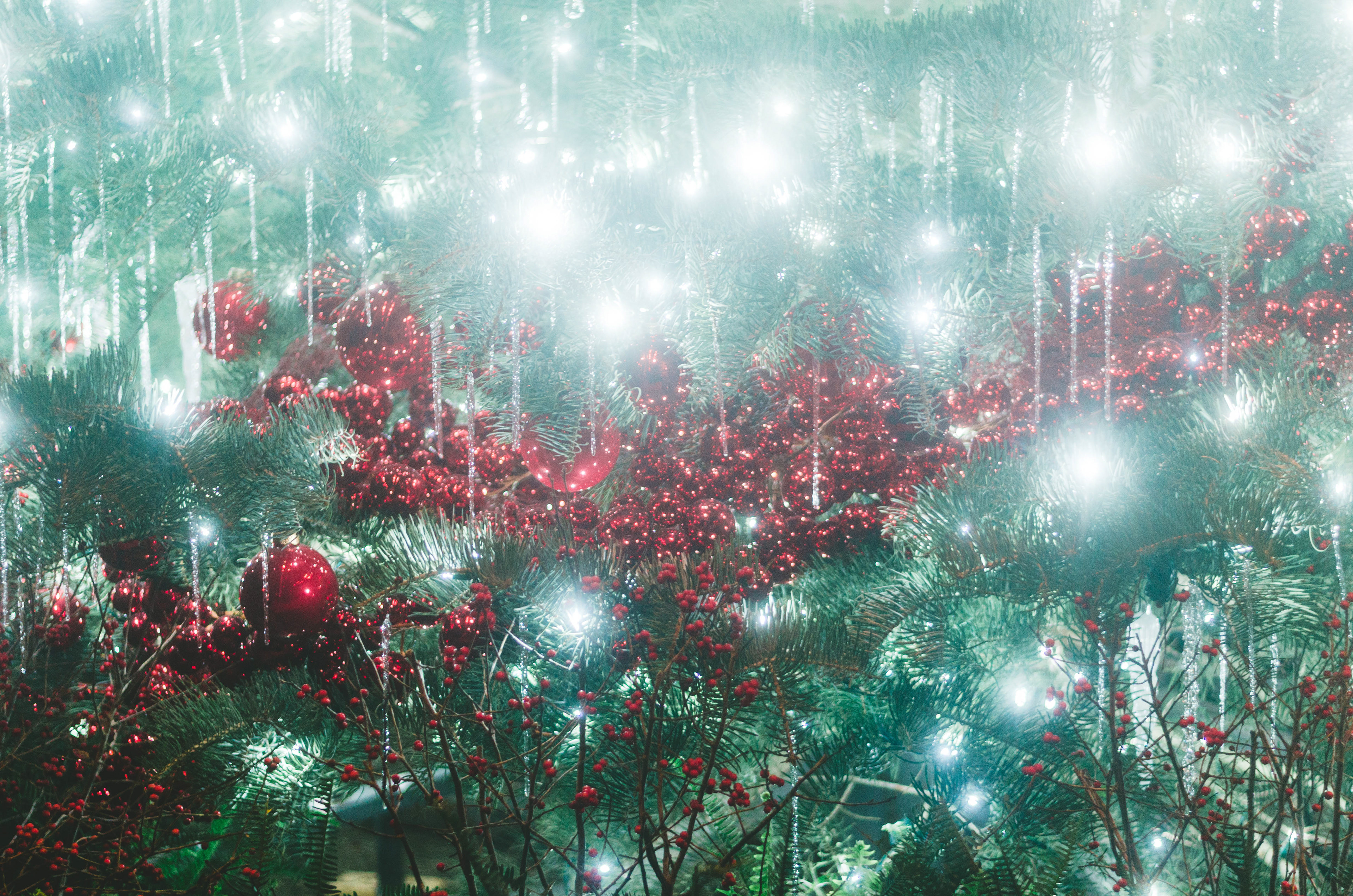 Christmas, 2018
