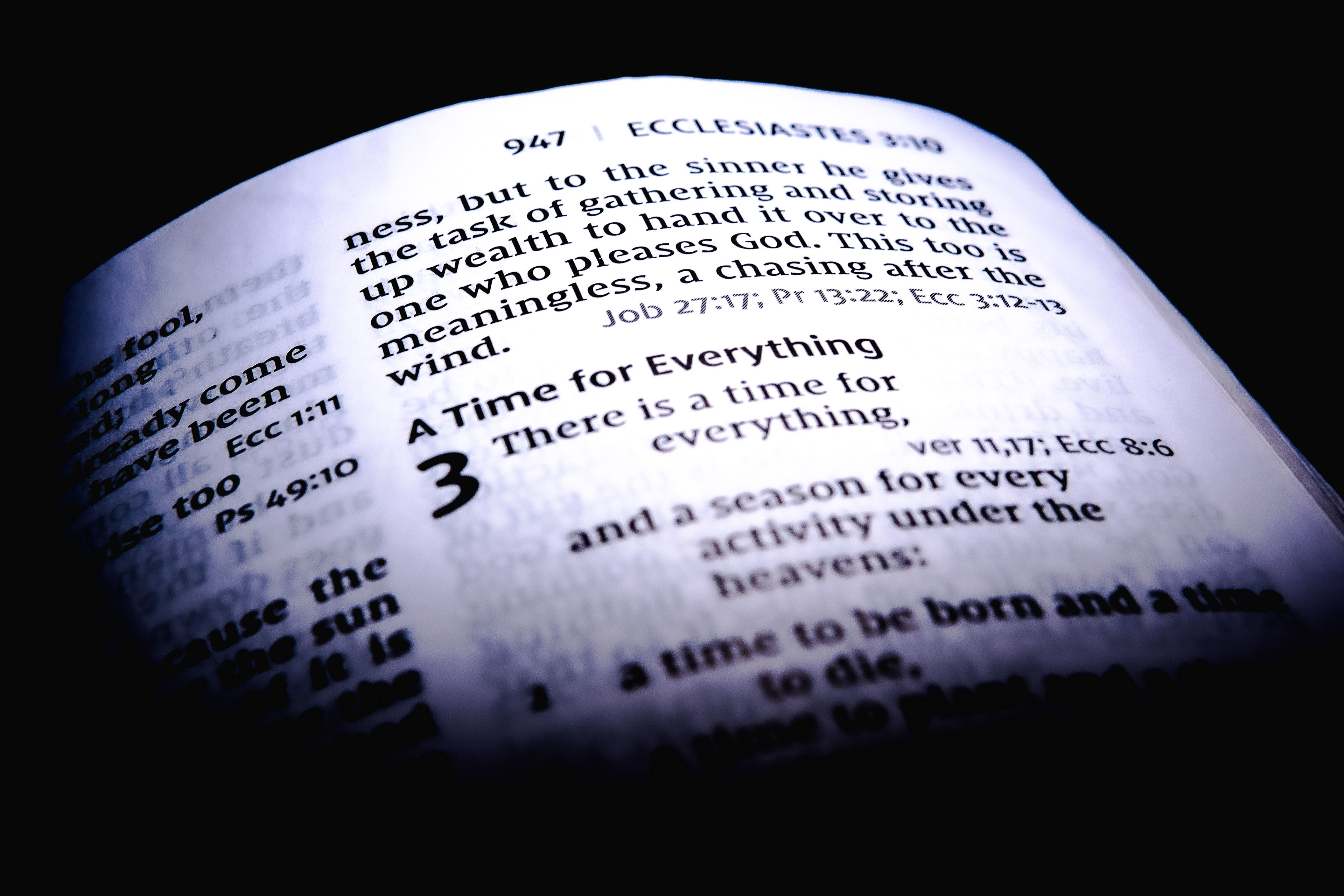 Everything is Everything | 2024