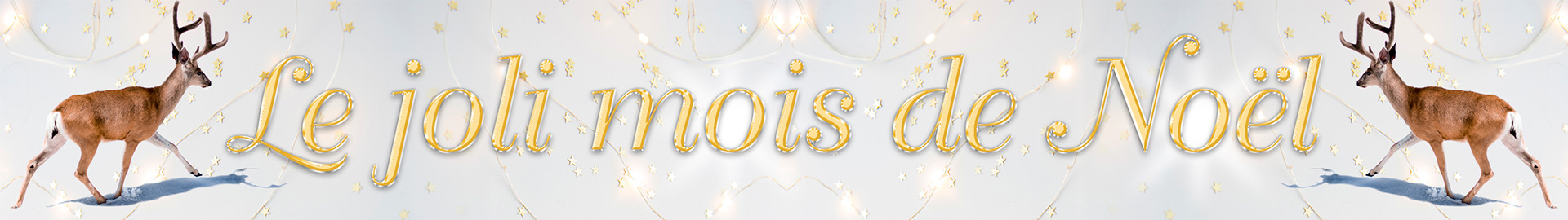 Entête cahier spécial journal