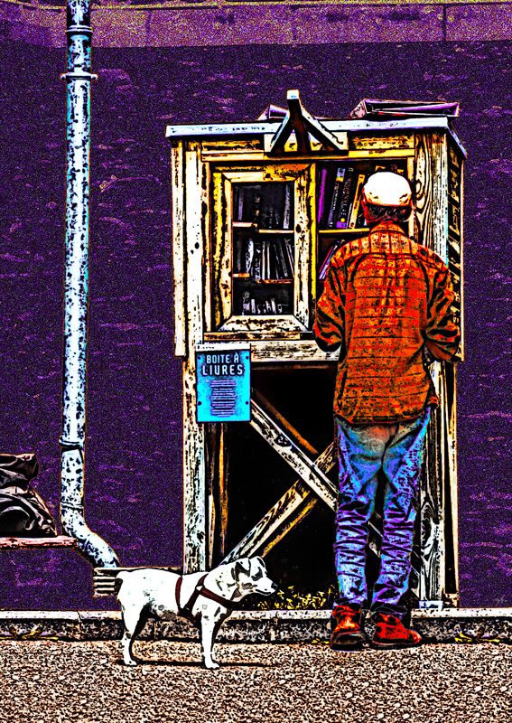 Au détour d'une rue, une boîte à livres : la promenade est riche de sens pour l'homme et l'animal. Le travail numérique a fait subir à la photographie de forts contrastes et effets sur les couleurs, jusqu'à obtenir une illustration très texturée.