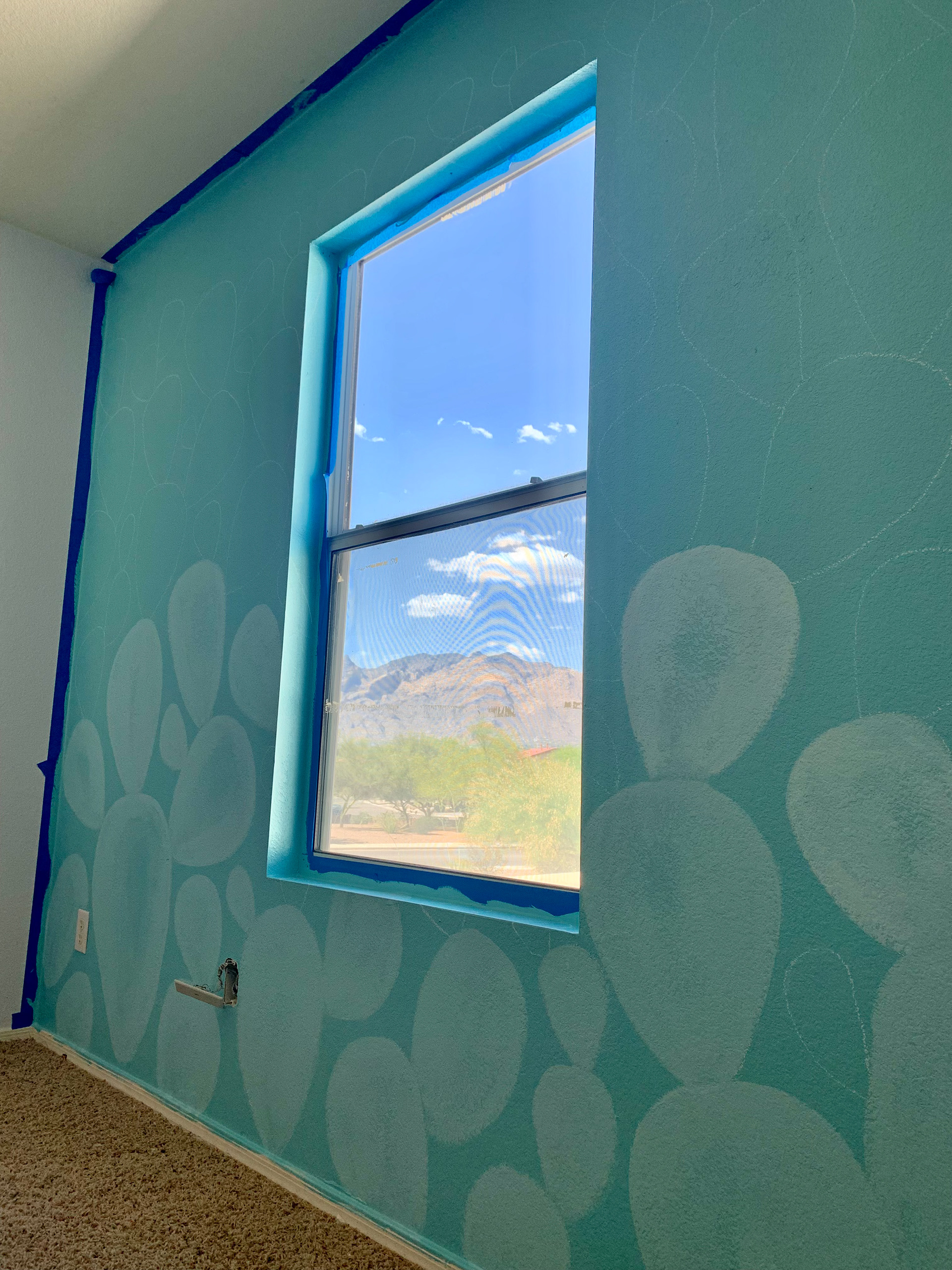 View of the Catalina Mountains.