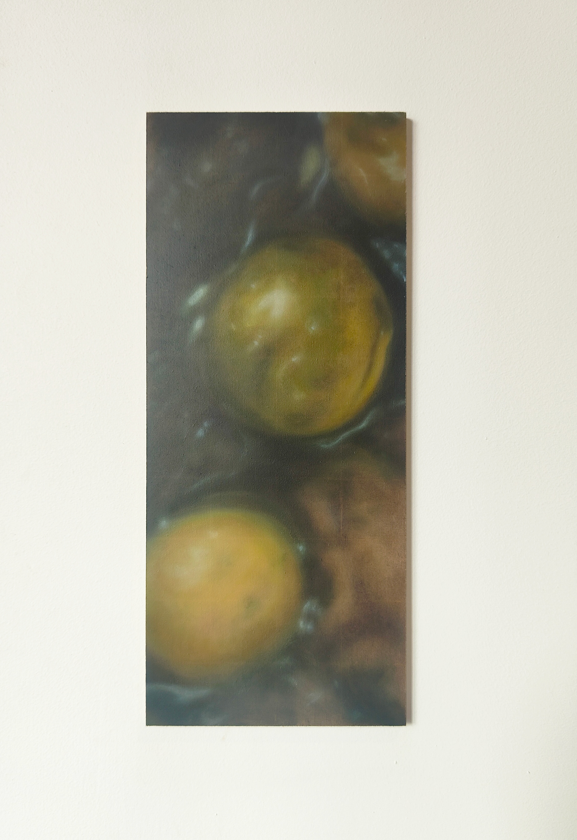 Globose, 2024, Oil and coloured pencil on MDF, 12.5 x 29.5 cm.