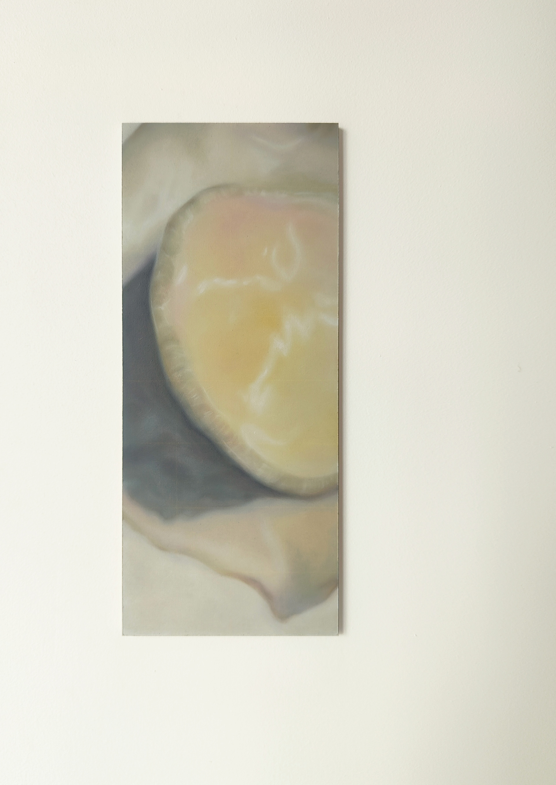 Terminal crown, 2024, Oil and coloured pencil on MDF, 12.4 x 29.3 cm.