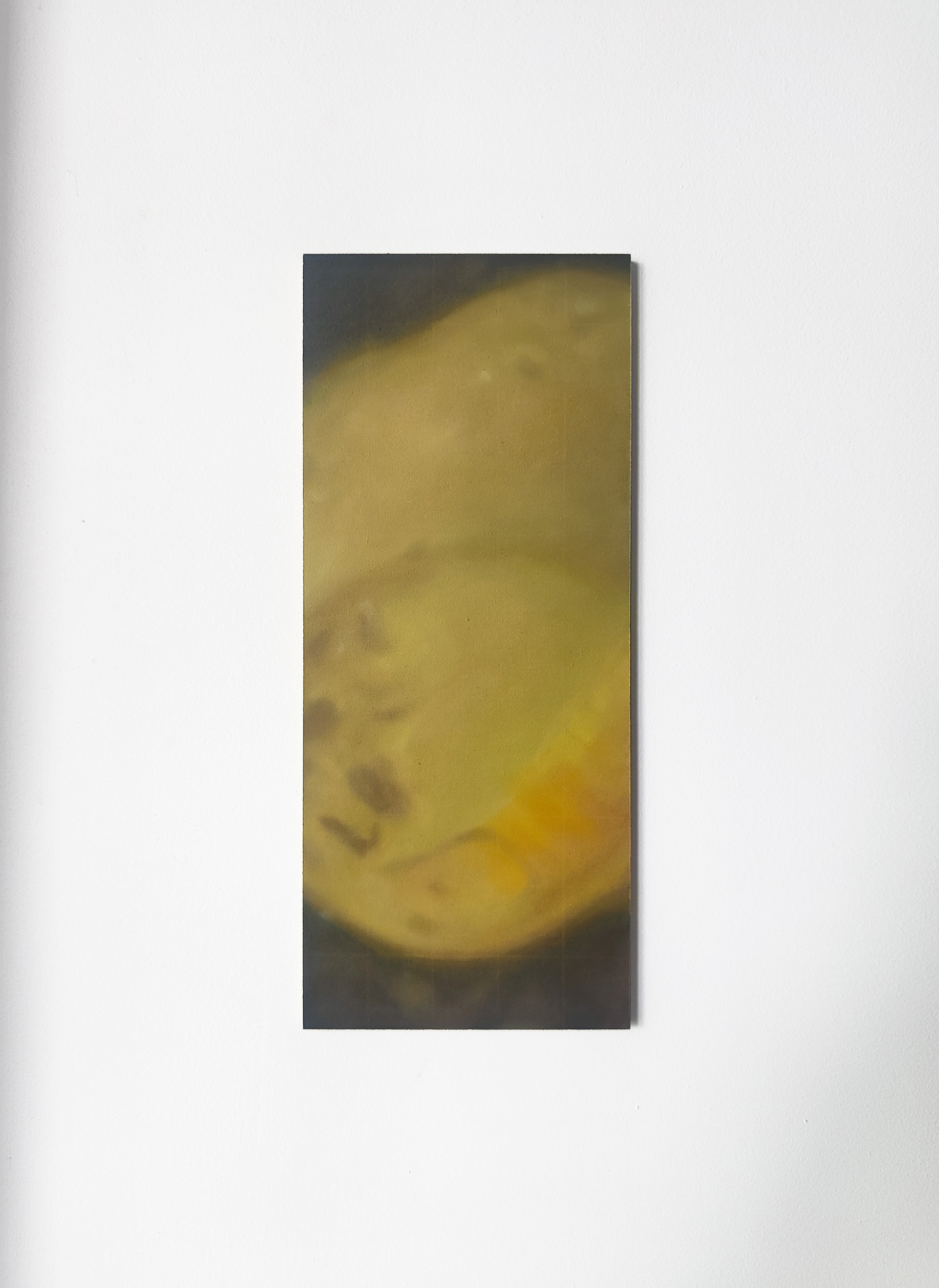 Tumid, 2024, Oil and coloured pencil on MDF, 12.4 x 29.3 cm.