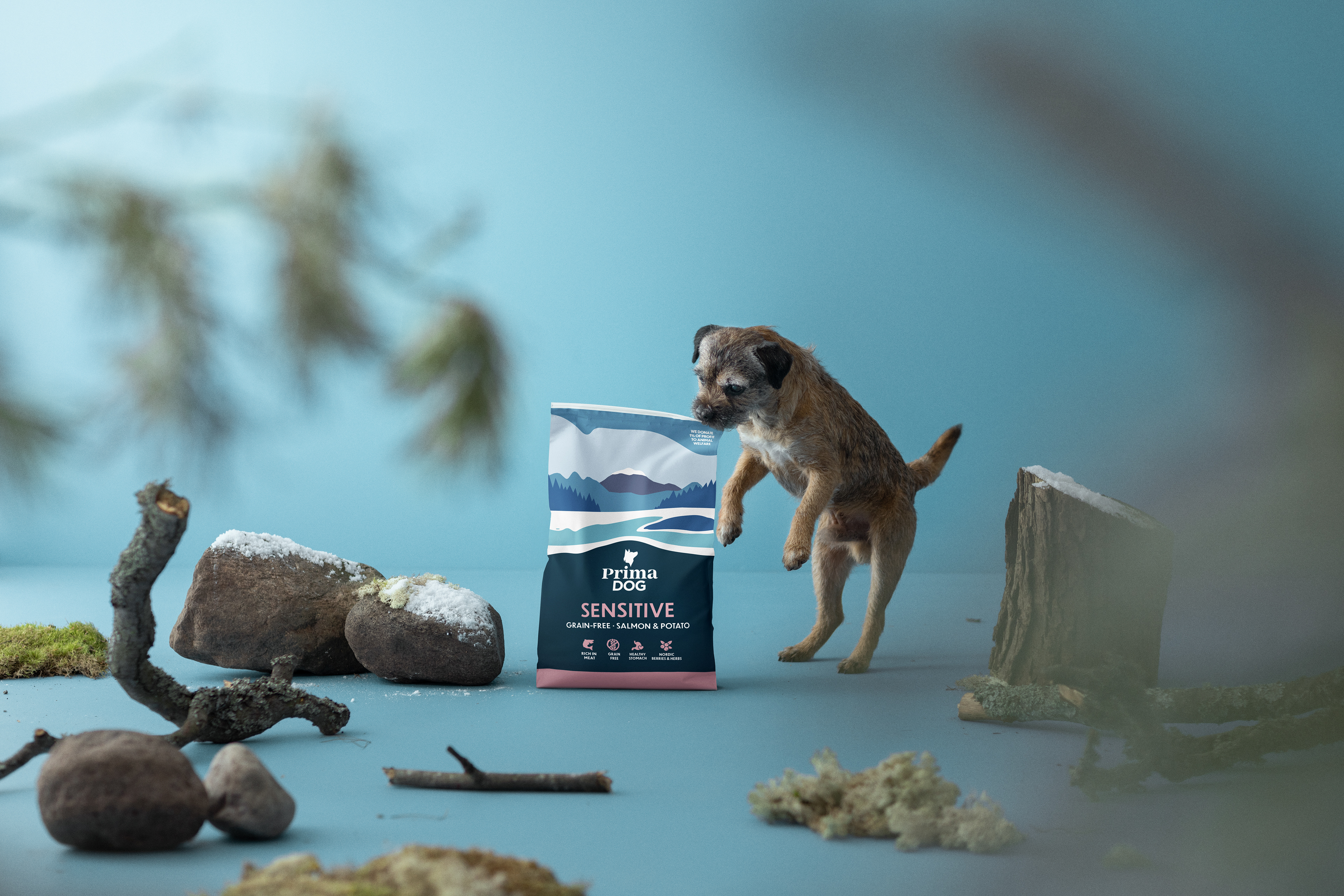 PrimaDog: Kuvanmuokkaus
