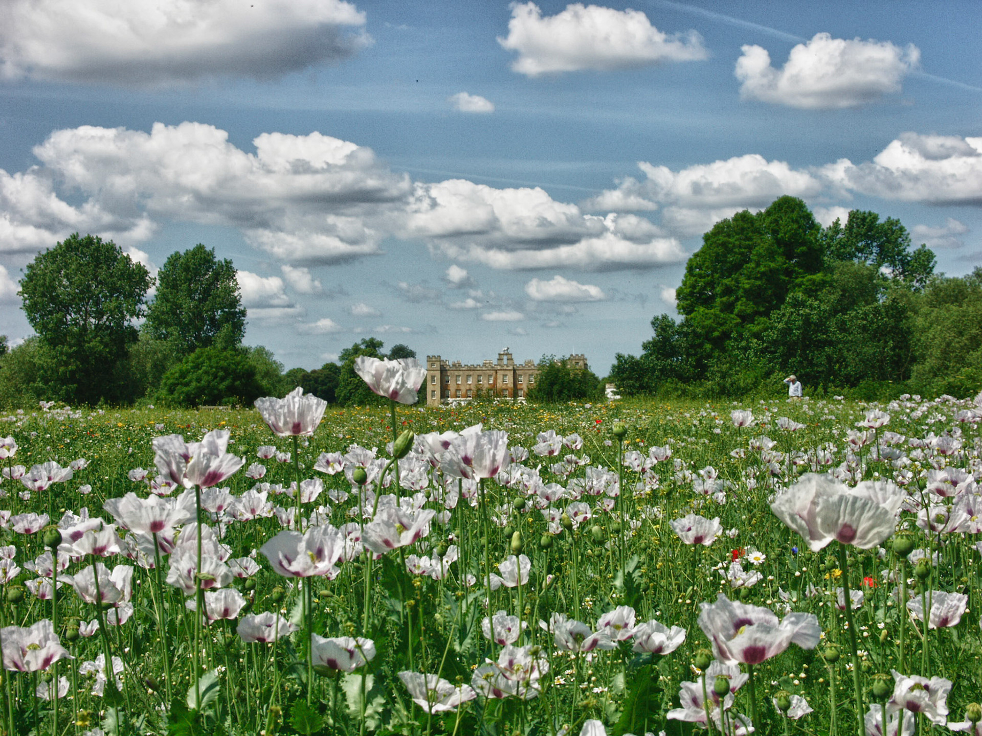 KONICA MINOLTA DIGITAL CAMERA