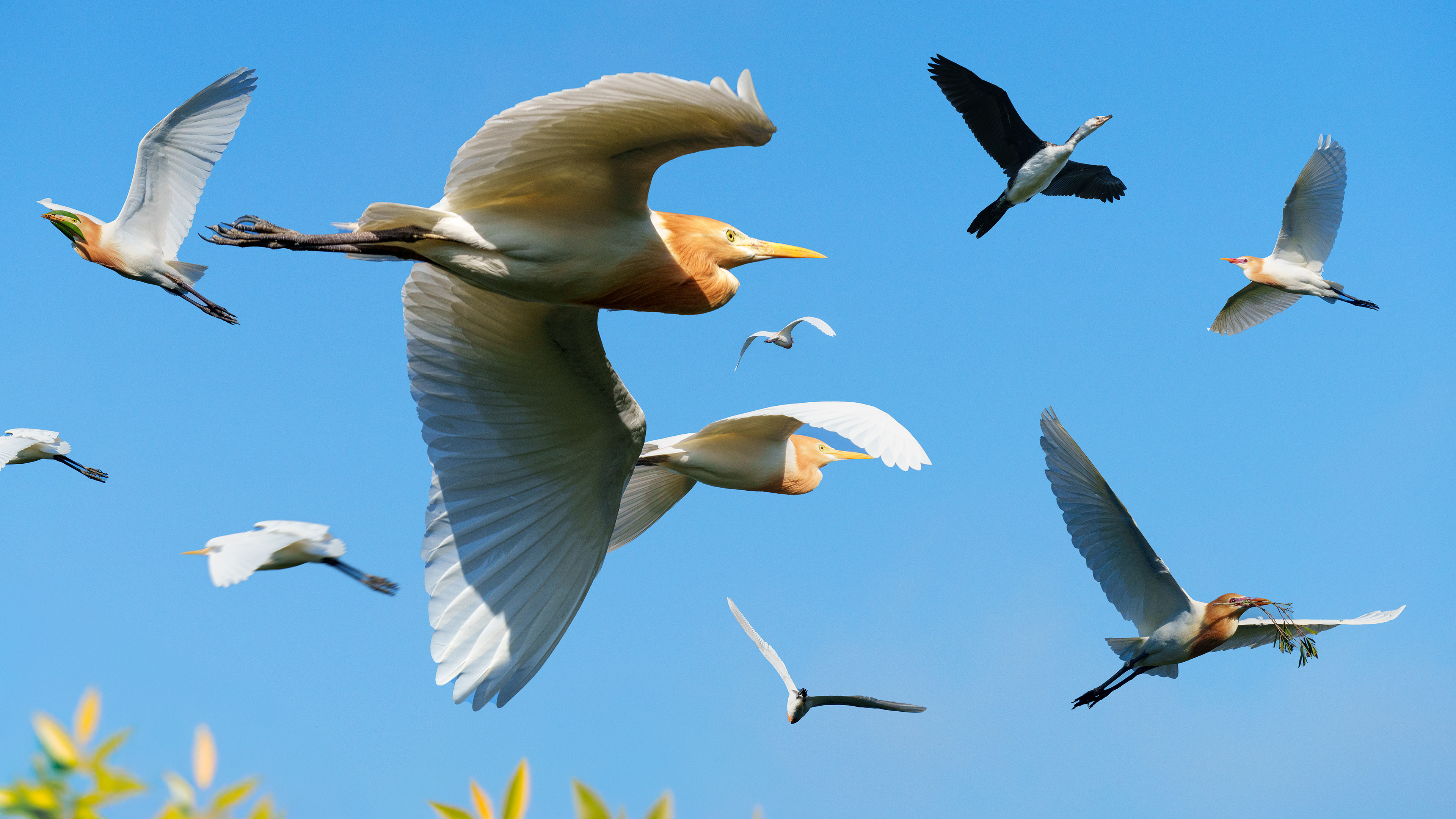 Airspace over Lake Alford