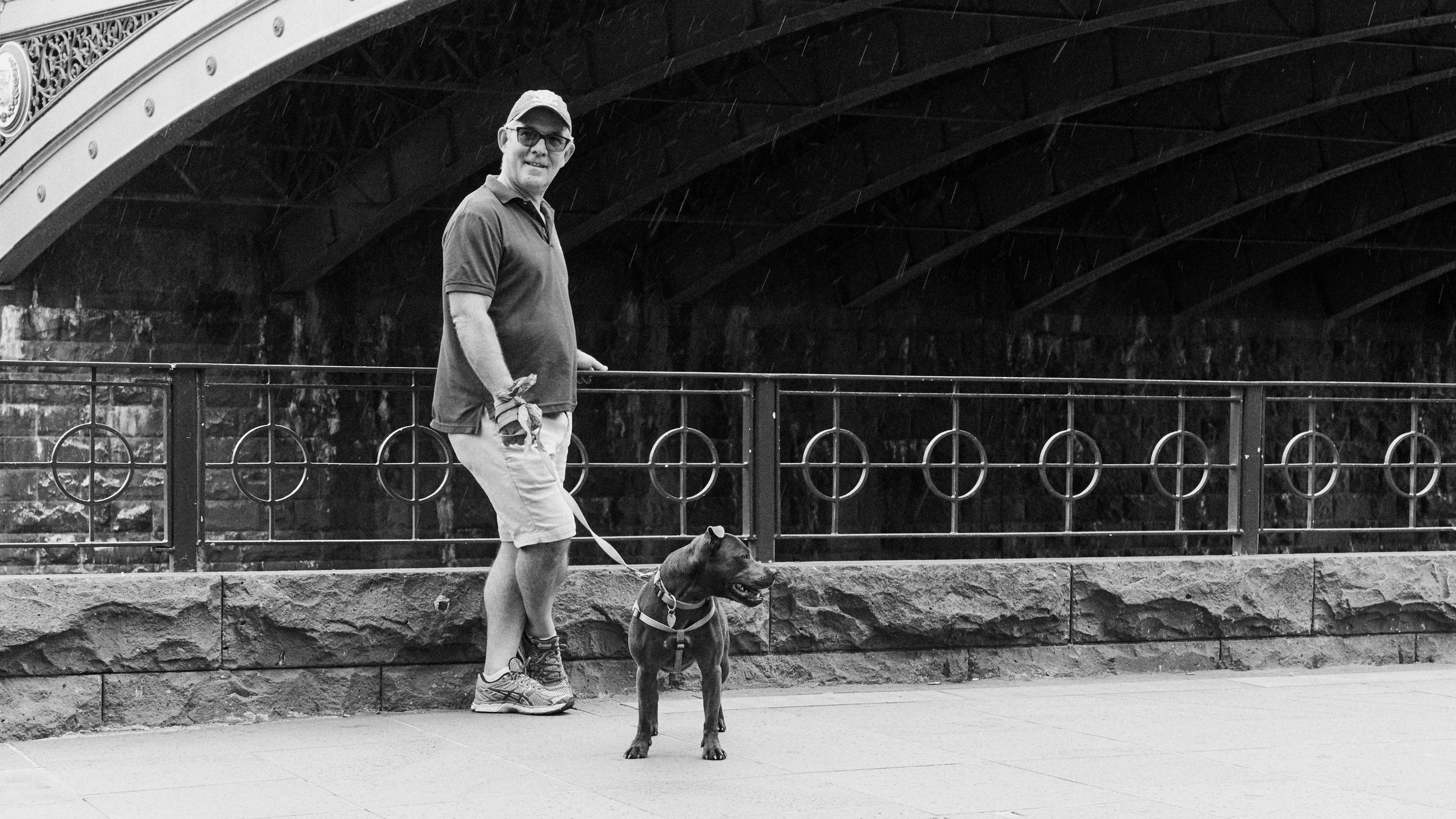 Princes Bridge, Southbank