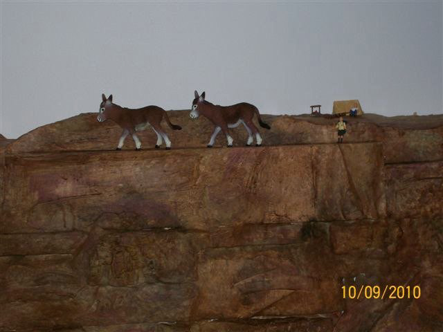 Campers watch the mules pass by on the top of the canyon.