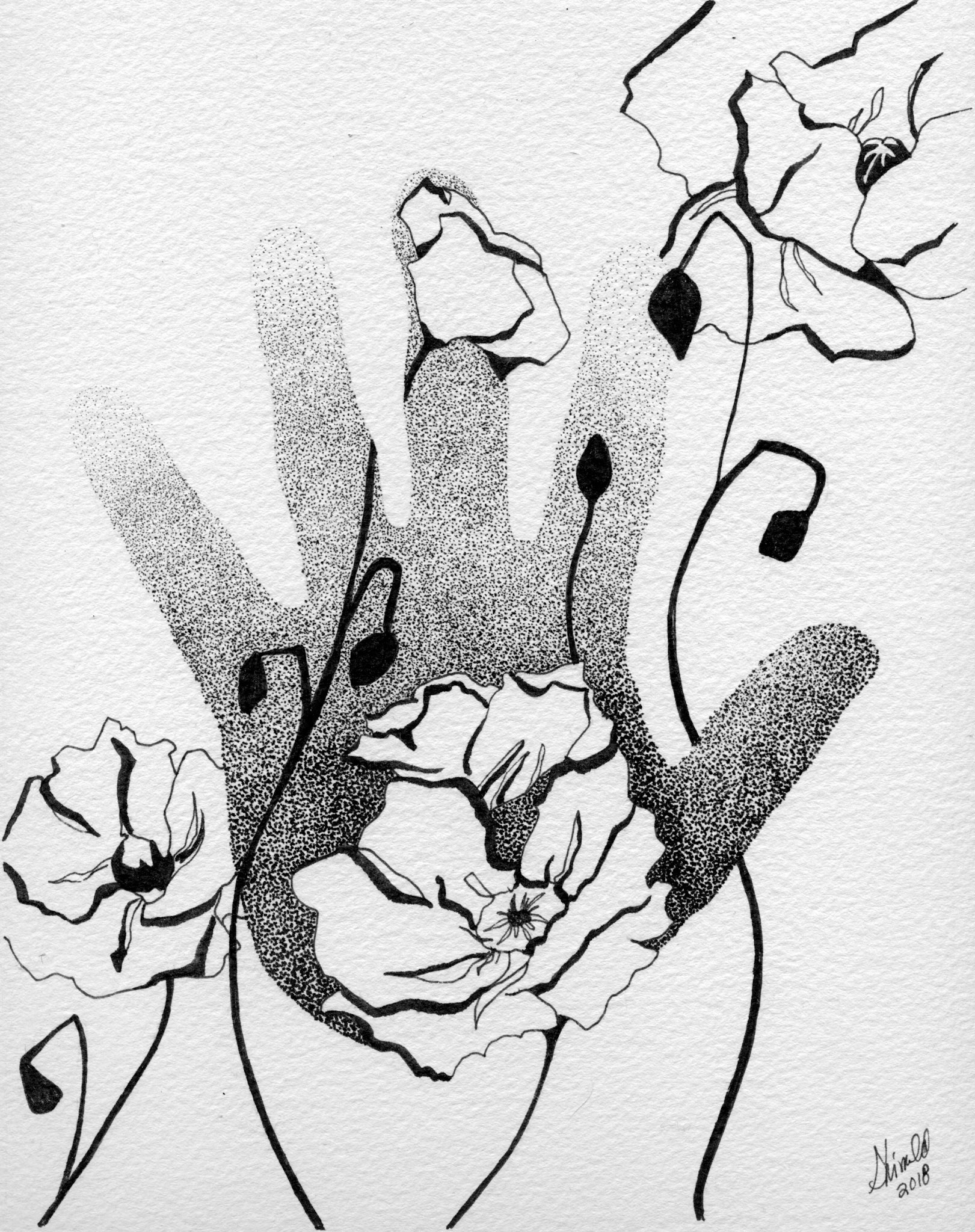 POPPY FLOWERS AND HAND, Pen and Ink, 2018, 8"x10"