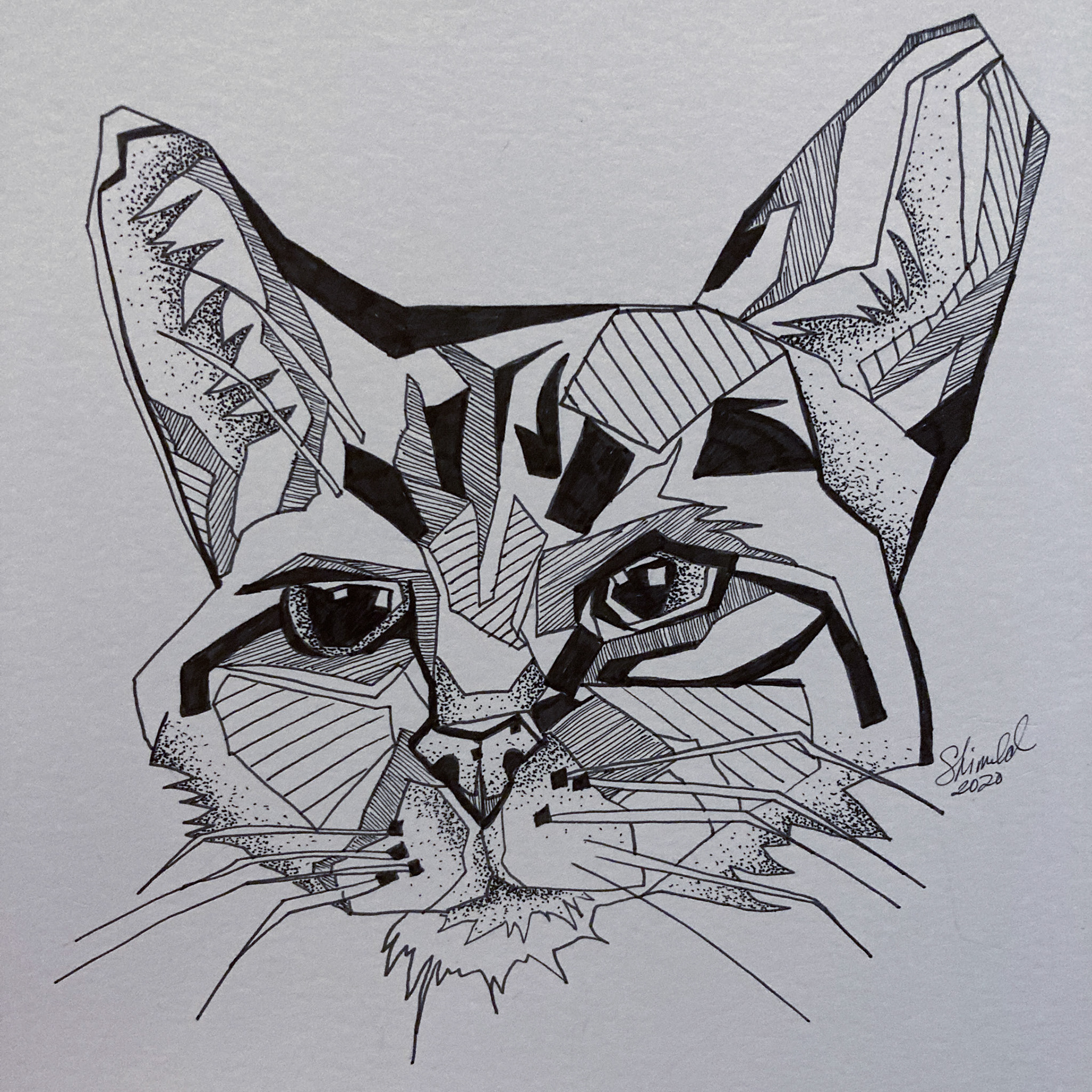 CAT PORTRAIT, Pen and Ink, 2020, 8"x8", Custom Portrait, Private Collection